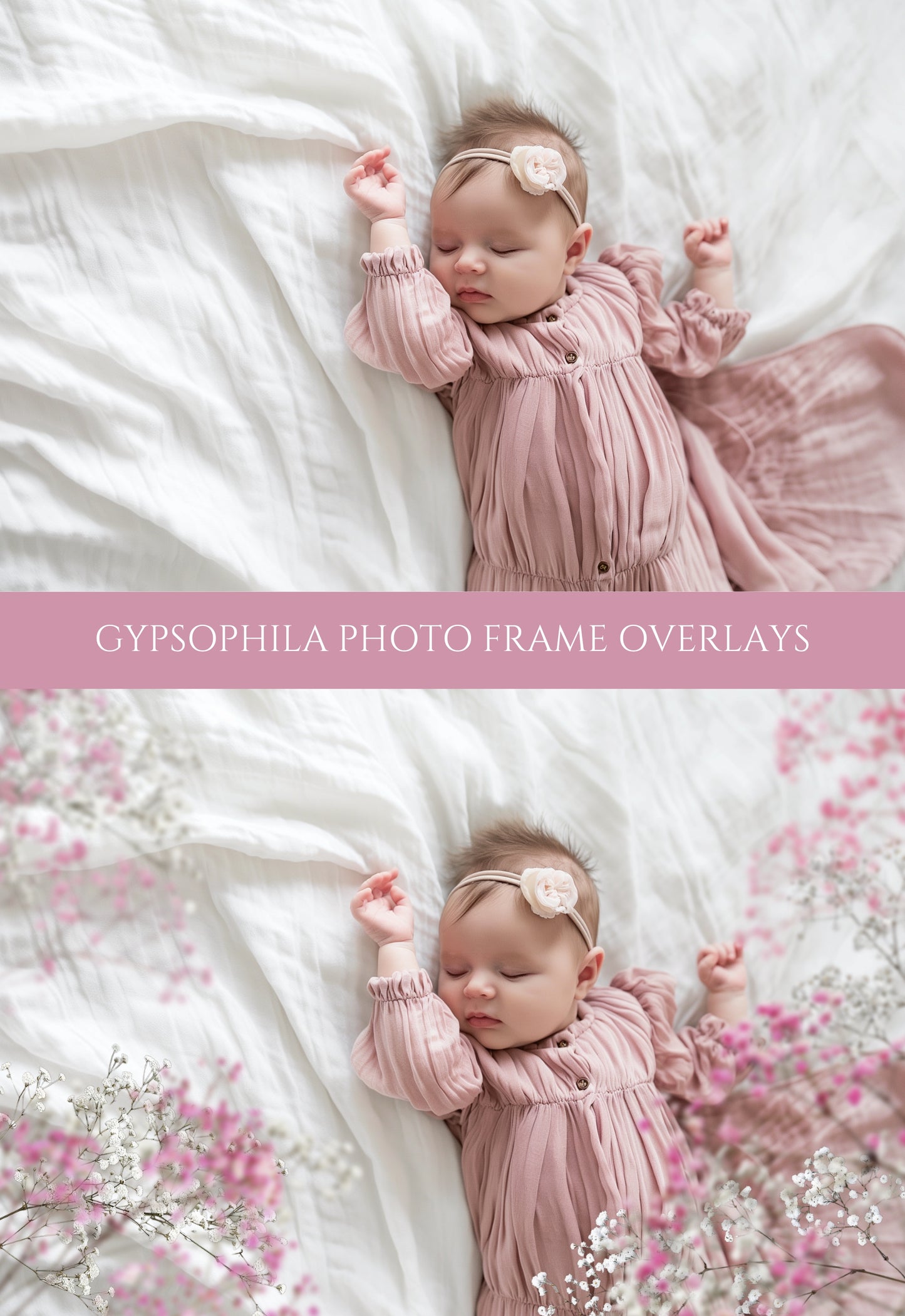 Gypsophila Frame Overlays for Maternity and Newborn Portraits