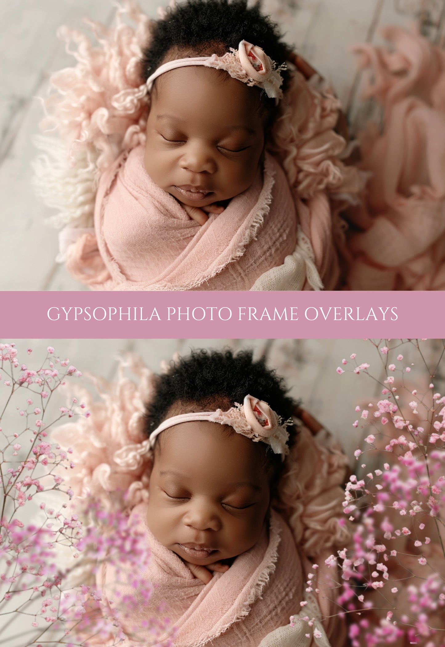 Gypsophila Frame Overlays for Maternity and Newborn Portraits