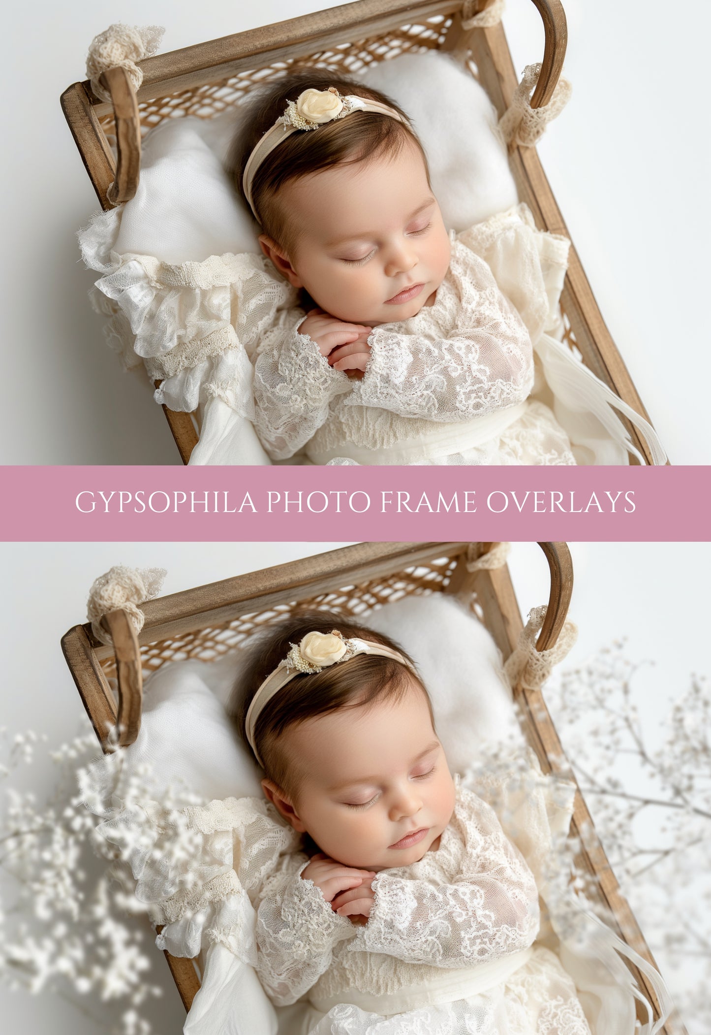 Gypsophila Frame Overlays for Maternity and Newborn Portraits