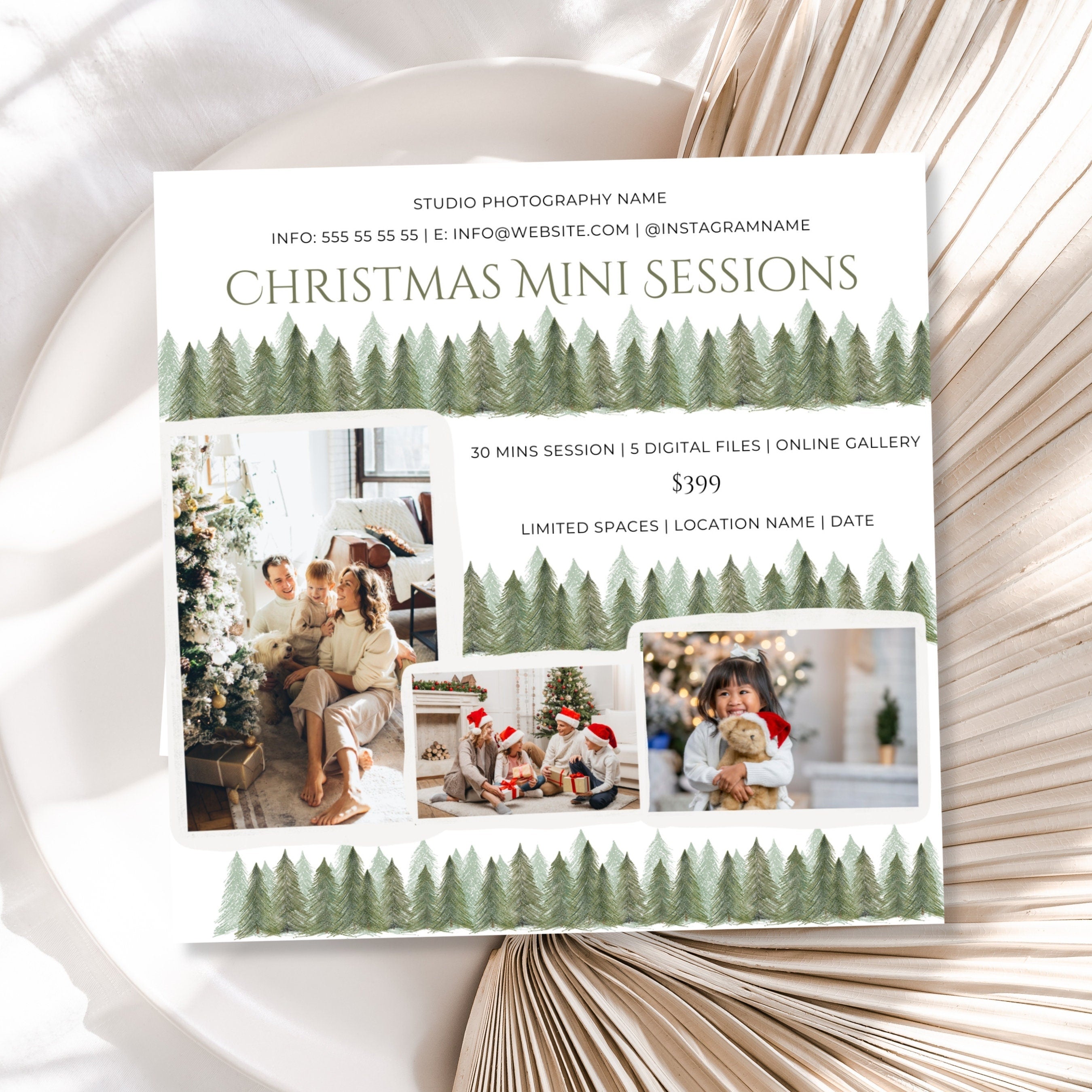 Christmas Mini Session Canva Template