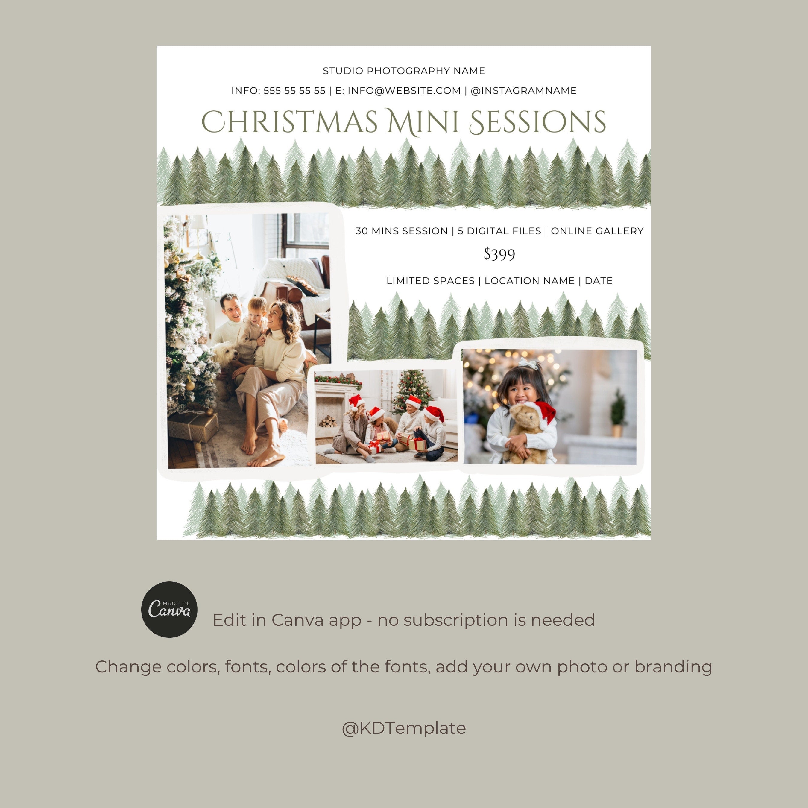 Christmas Mini Session Canva Template