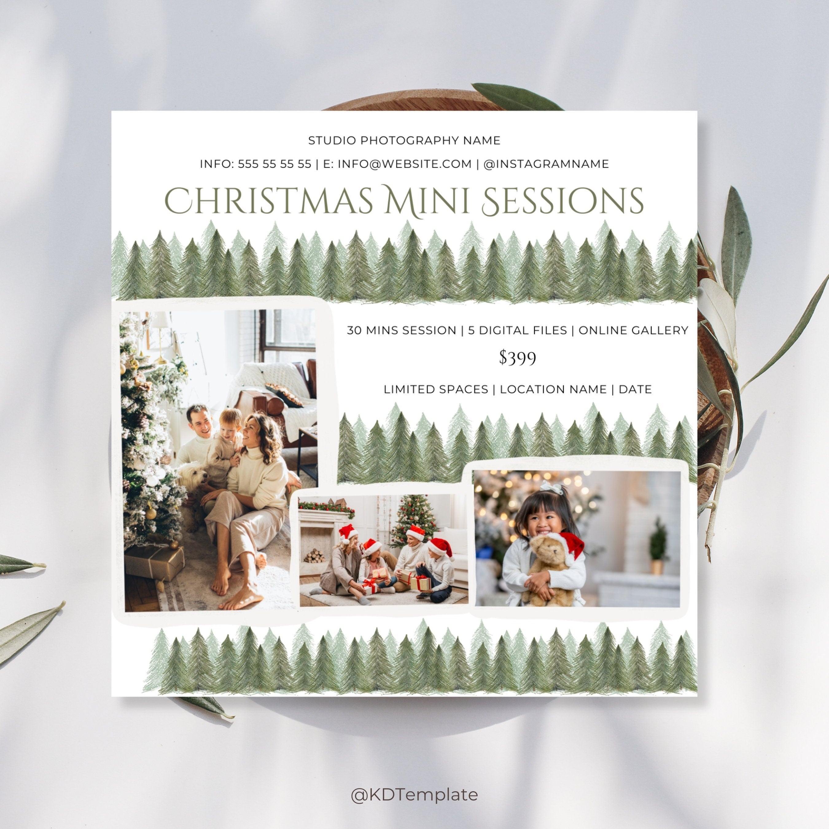 Christmas Mini Session Canva Template