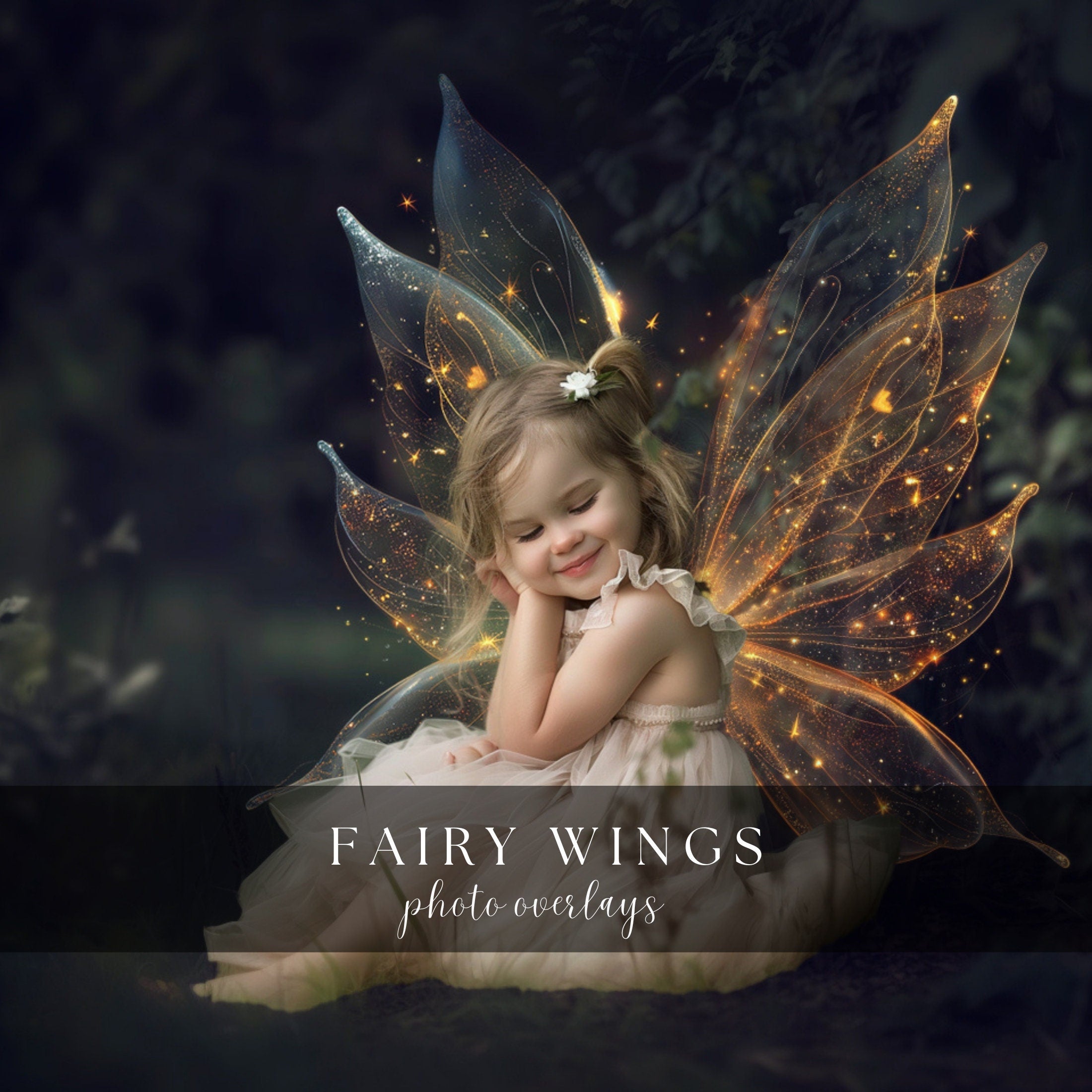 Fairy Wings Photo Overlays