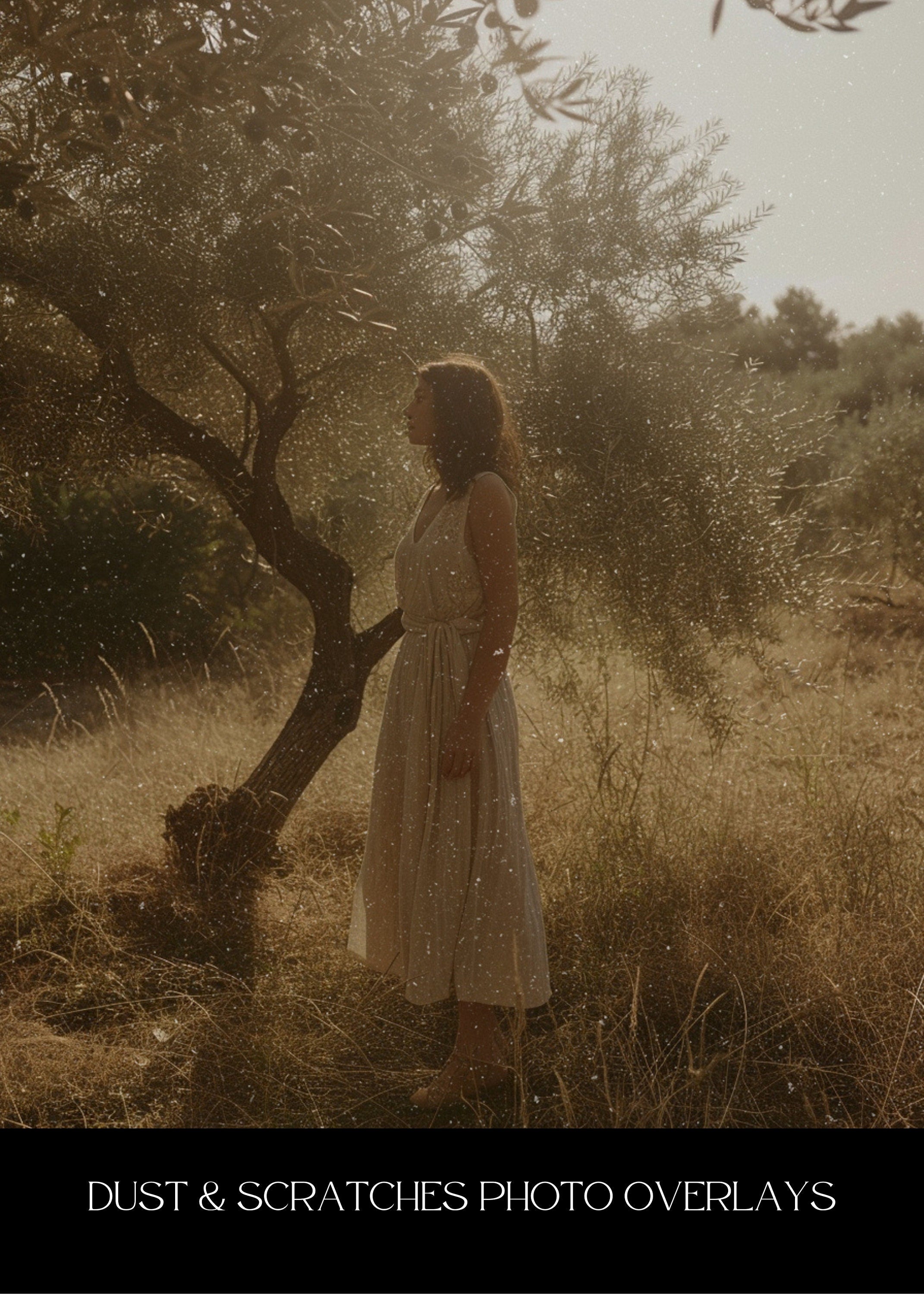 Vintage Film Dust & Scratches Photo Overlays