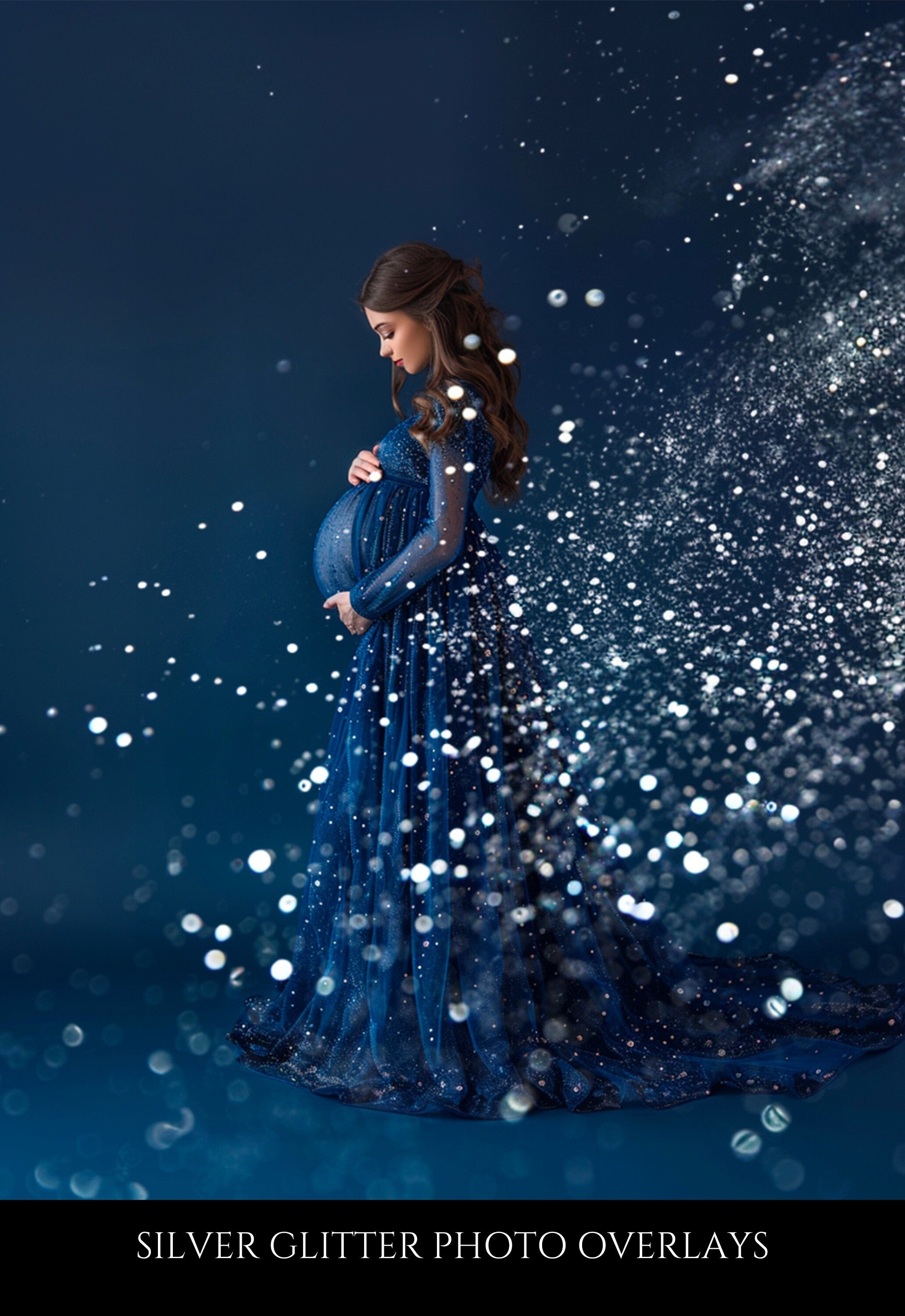 Silver Glitter Photo Overlays