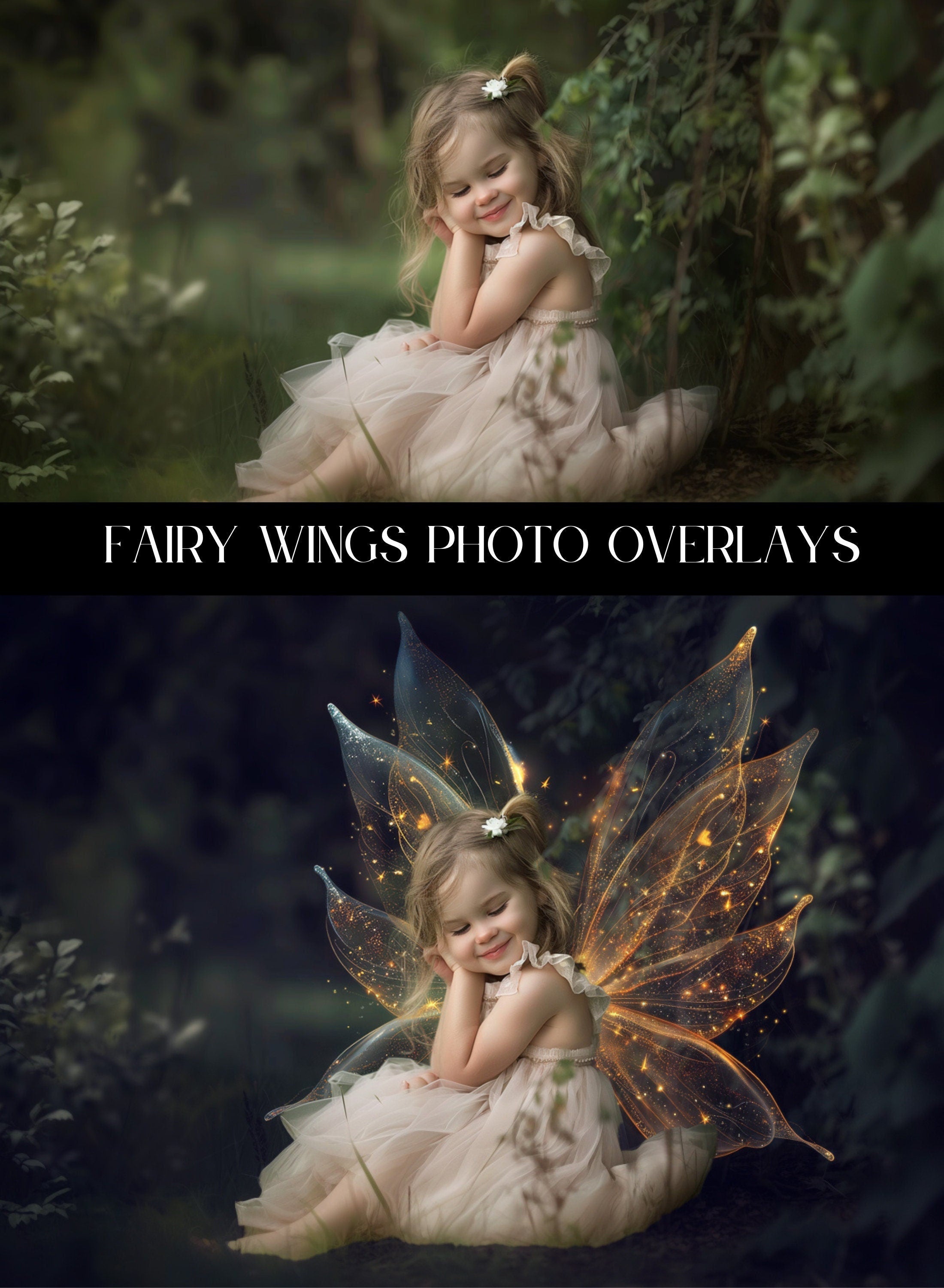 Fairy Wings Photo Overlays
