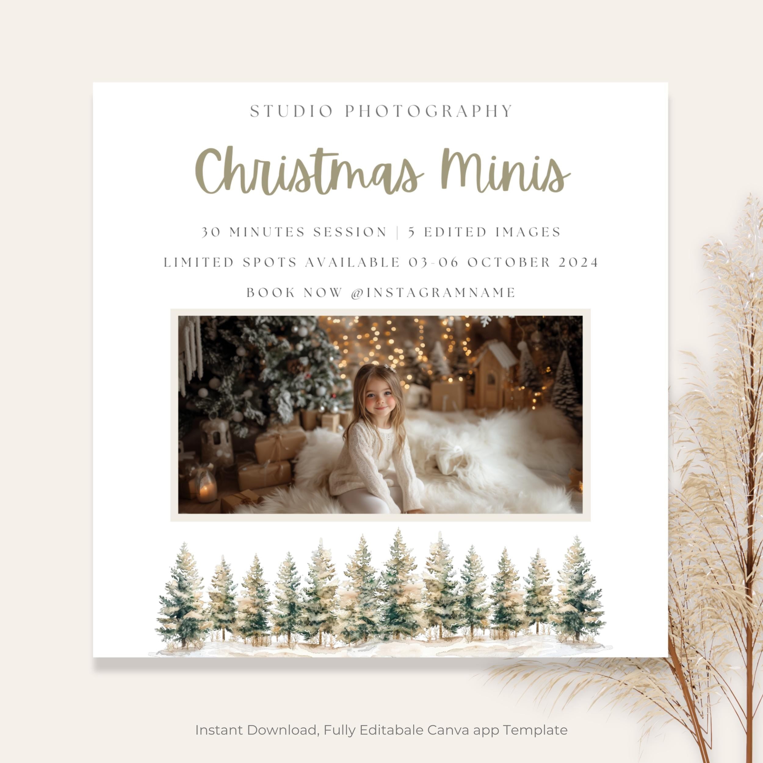 Rustic Christmas Mini Session Canva Template
