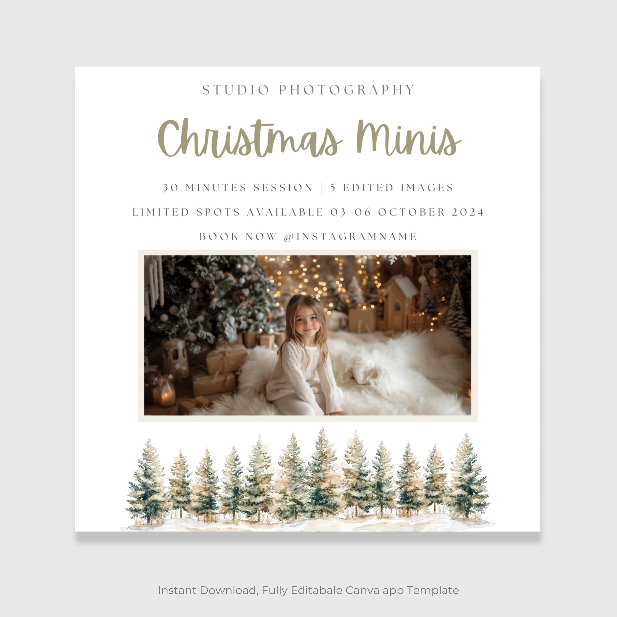 Rustic Christmas Mini Session Canva Template