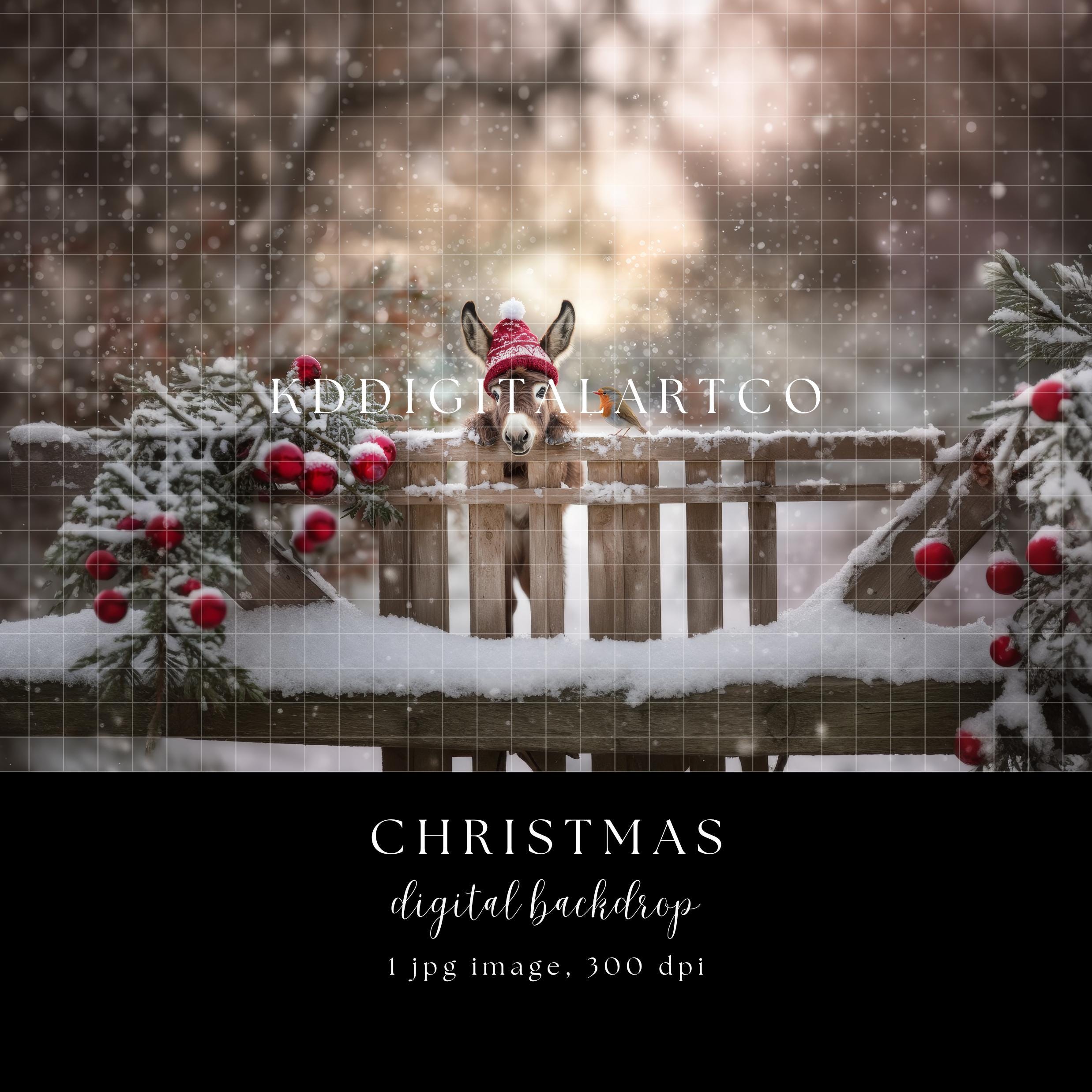 Christmas Donkey Scene Digital Backdrop