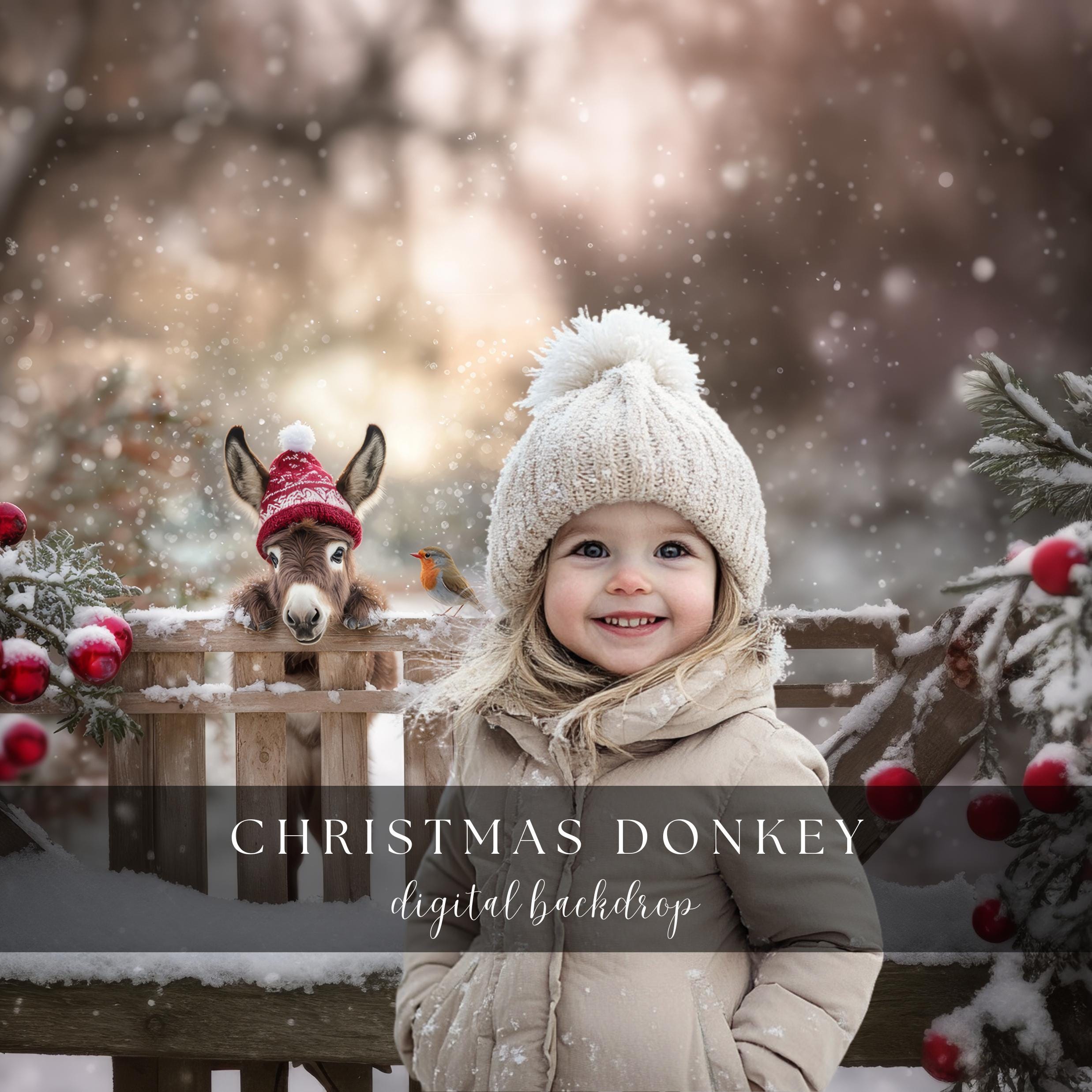 Christmas Donkey Scene Digital Backdrop