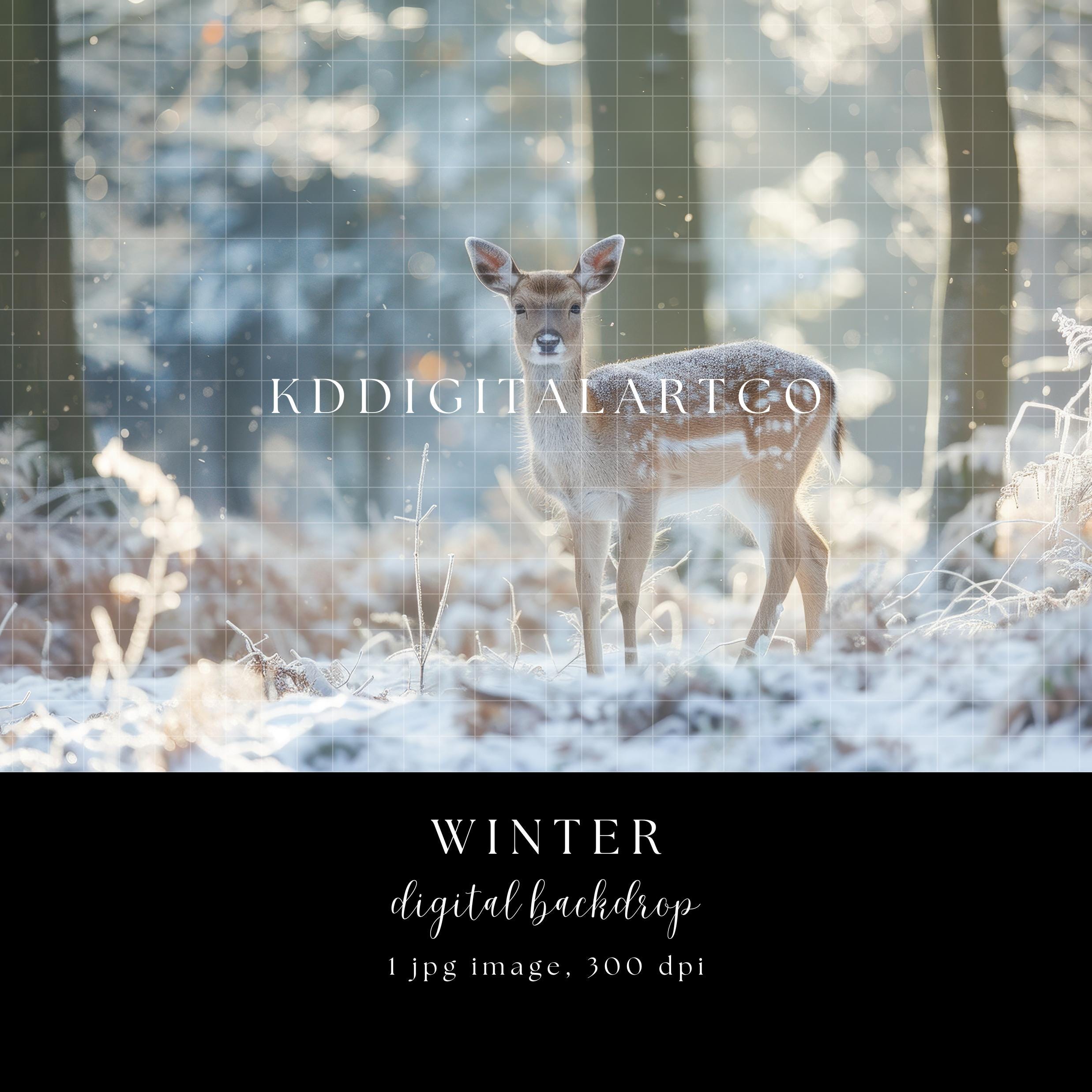 Winter Deer Christmas Digital Backdrop: Photo Studio Scene (JPG)