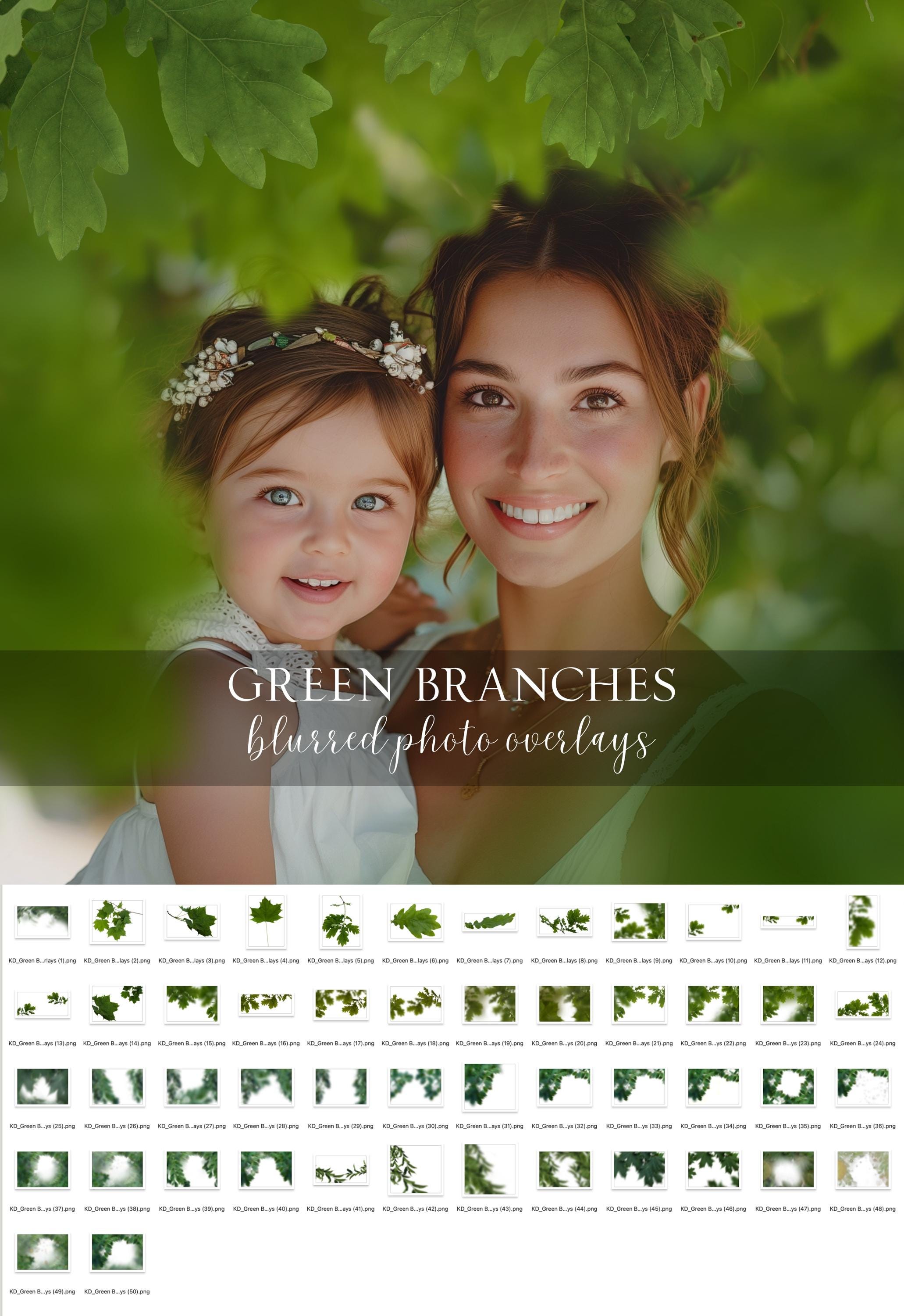 Tree Branch Photo Overlays