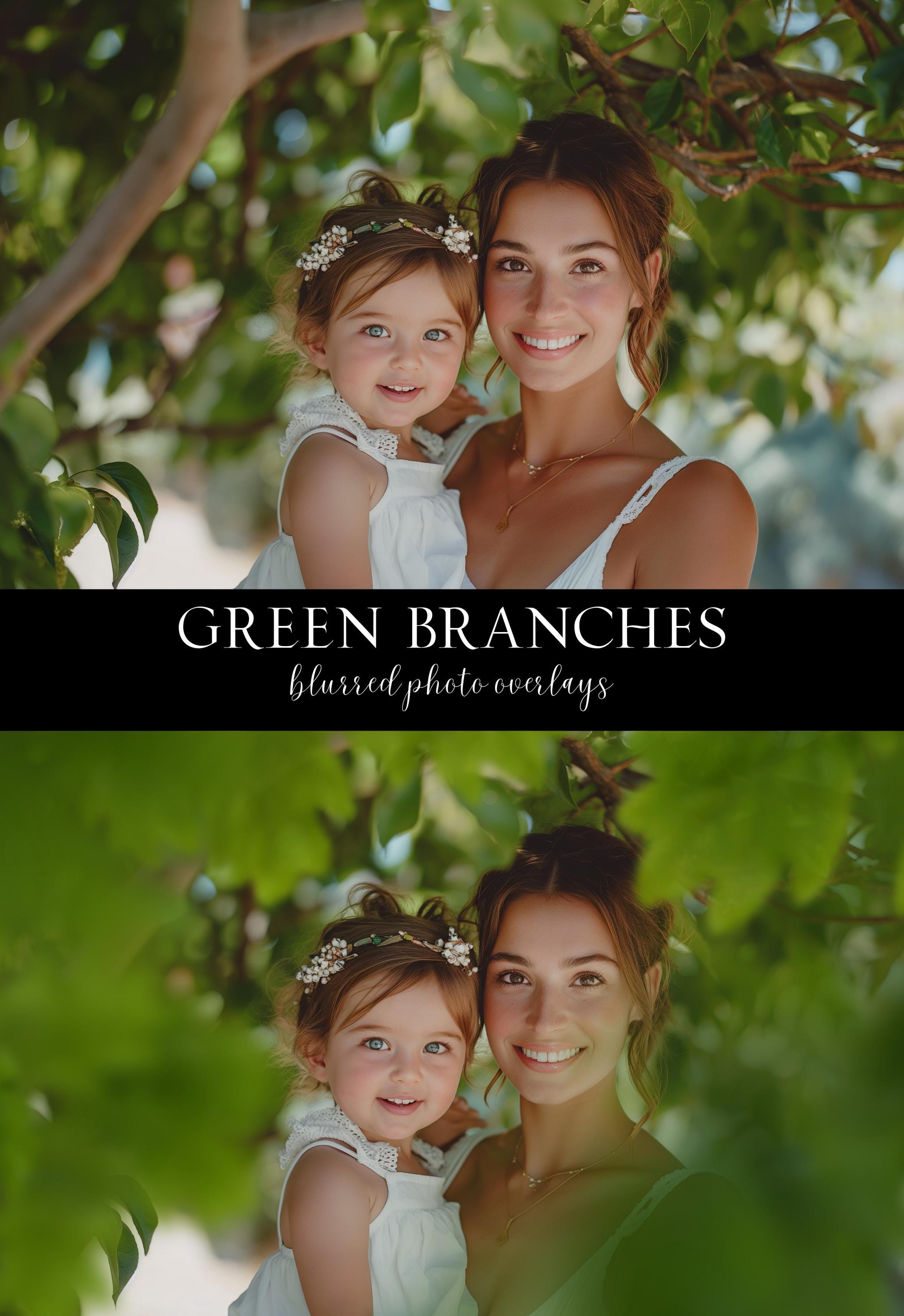 Tree Branch Photo Overlays