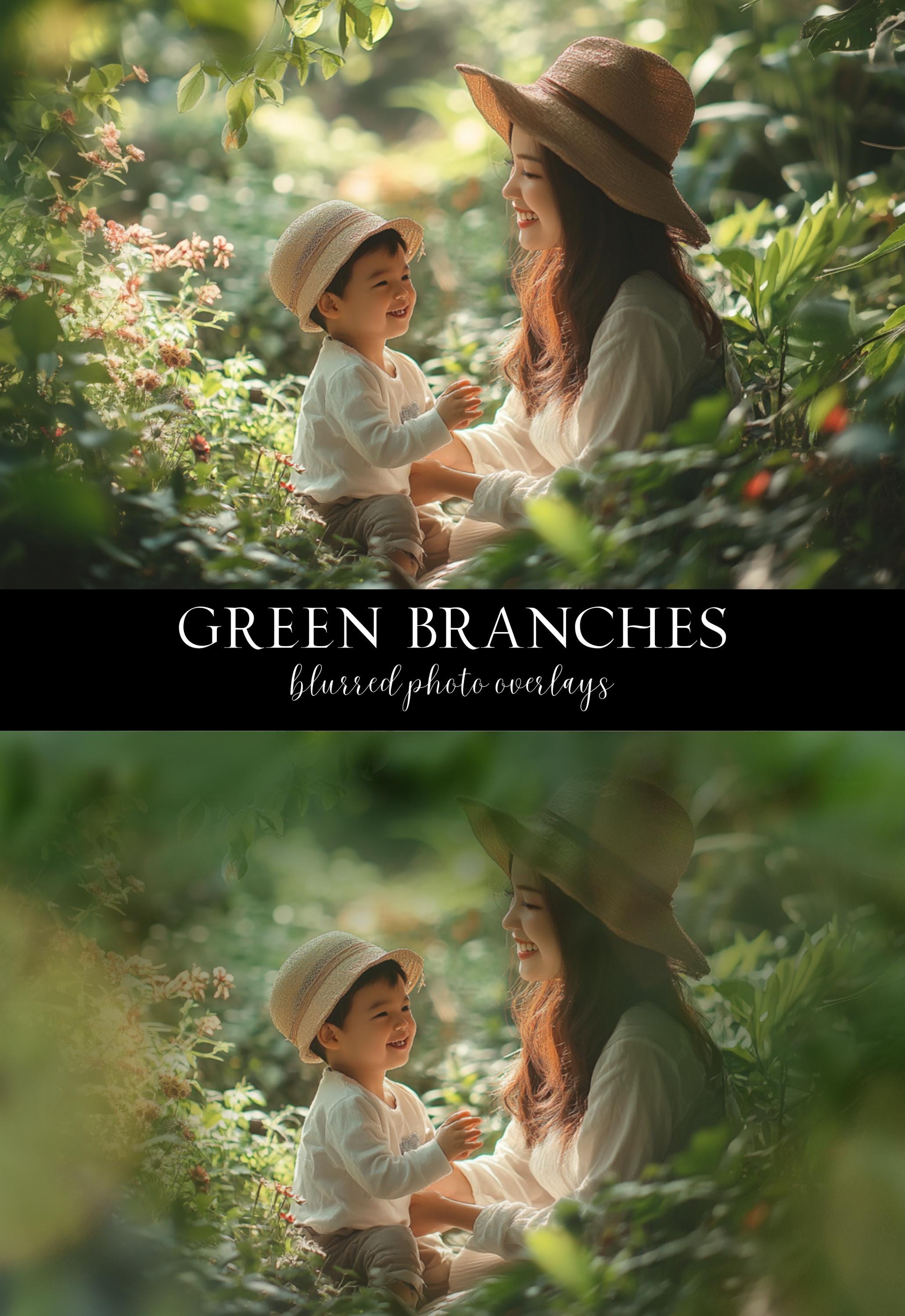 Tree Branch Photo Overlays