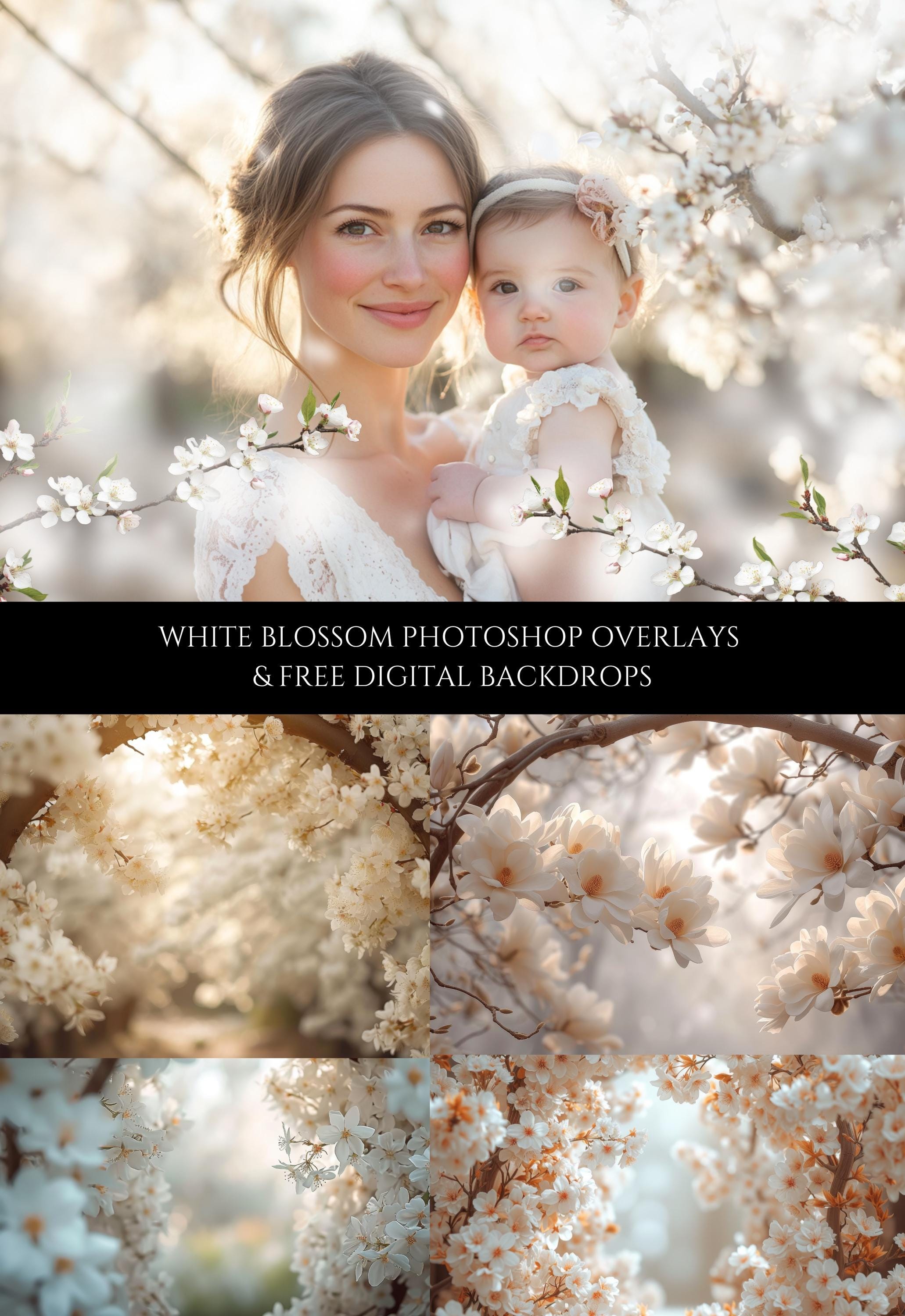 White Blossom Photo Overlays