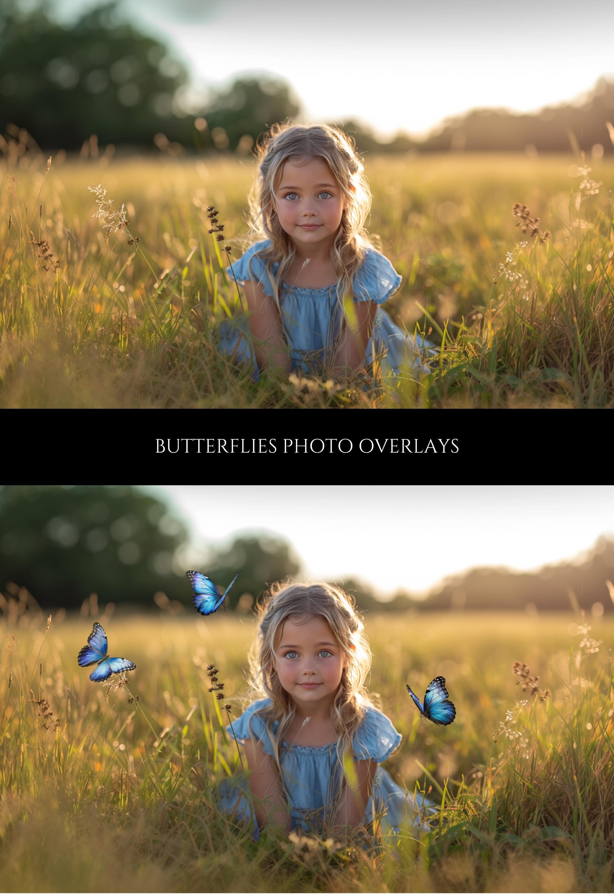 Monarch Butterfly Photo Overlays