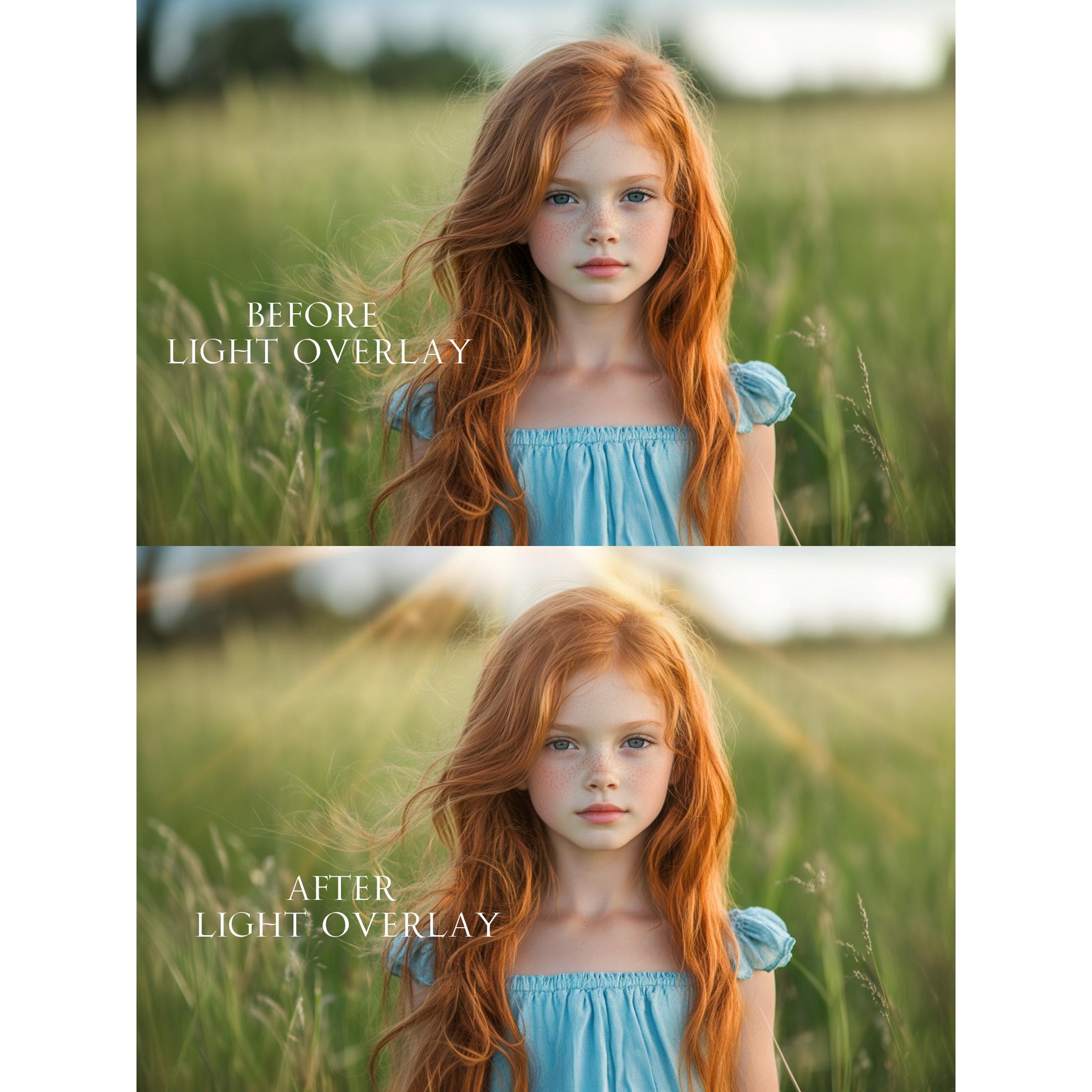 Natural Light Photo Overlays