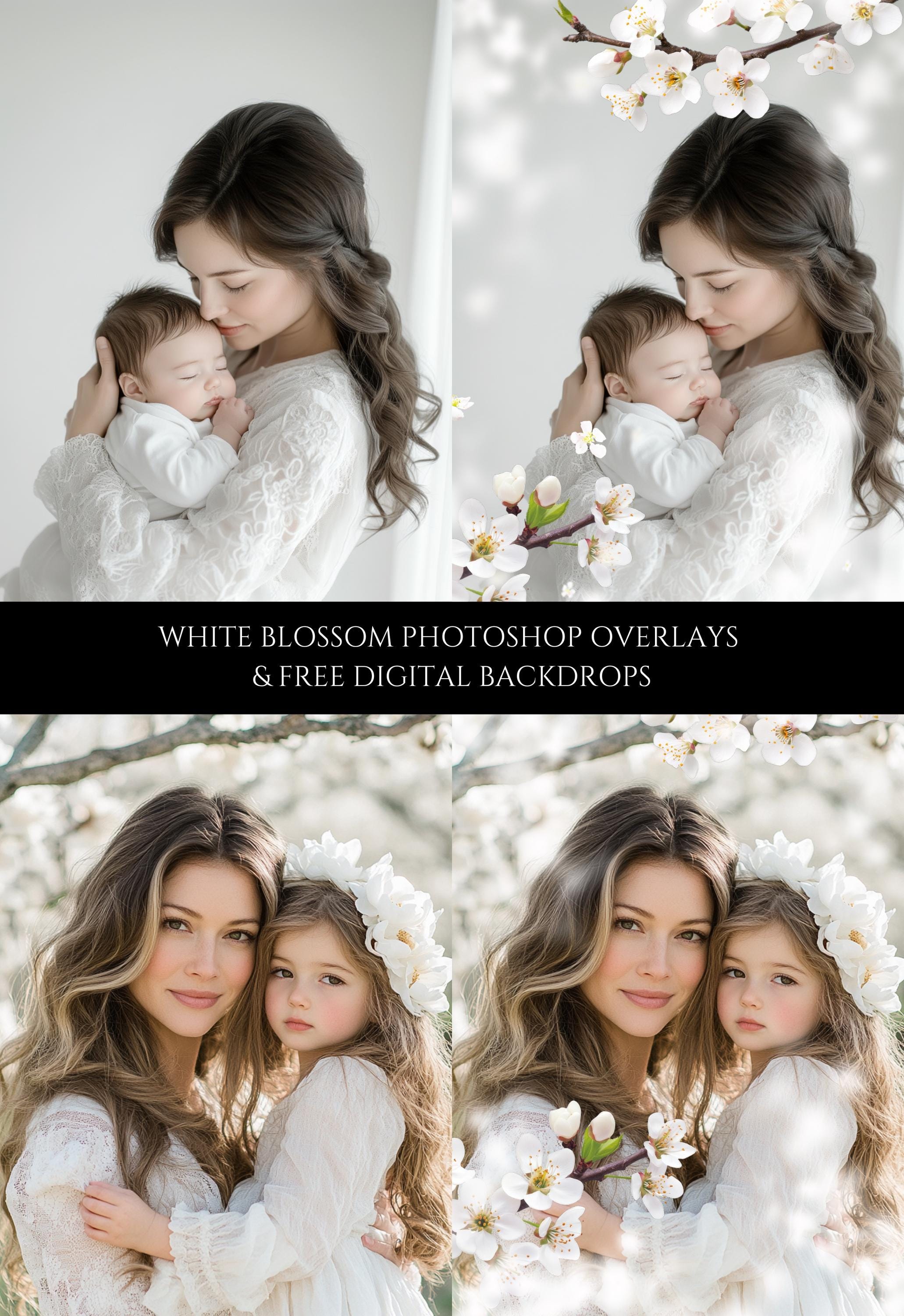 White Blossom Photo Overlays