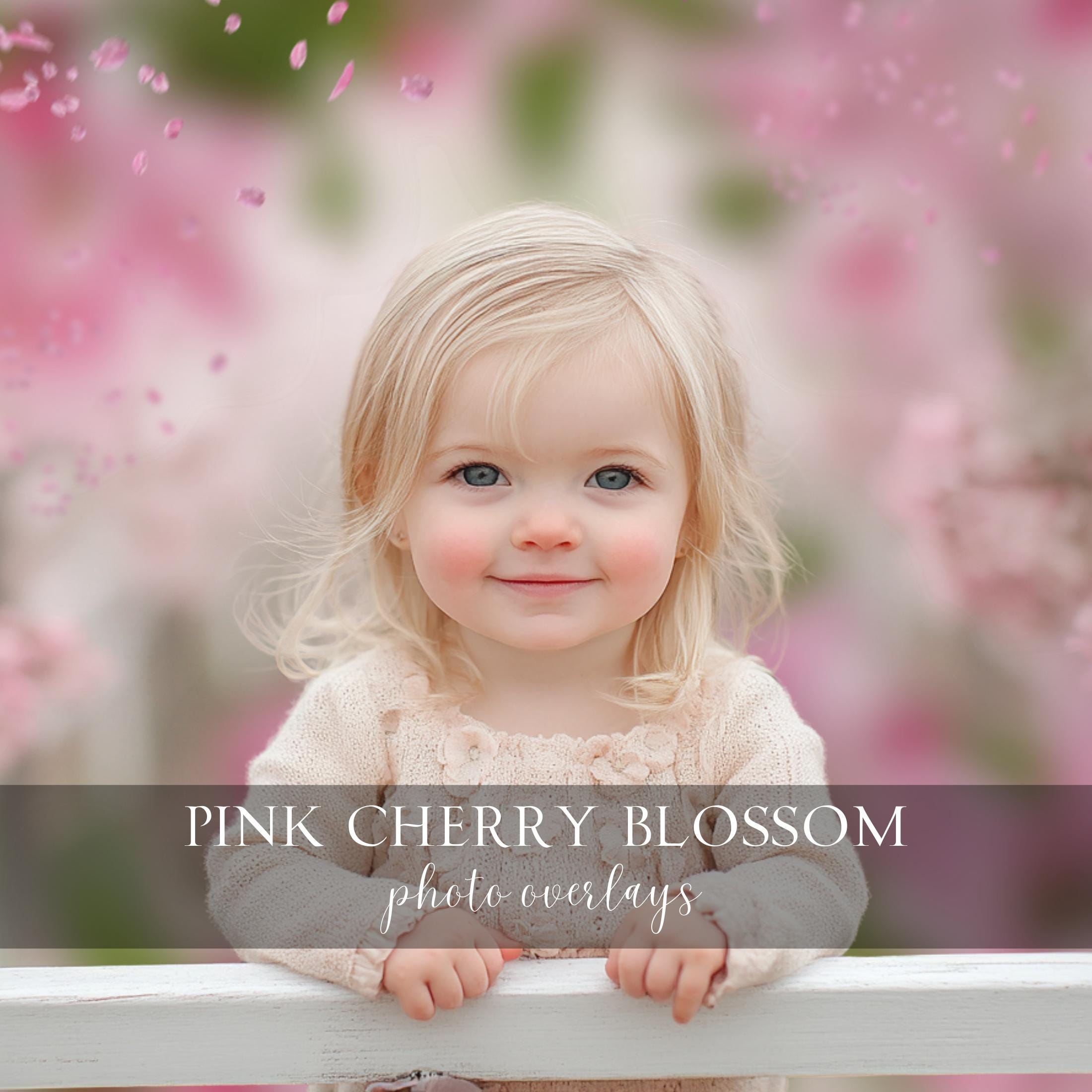 Pink Blossom Photo Overlays