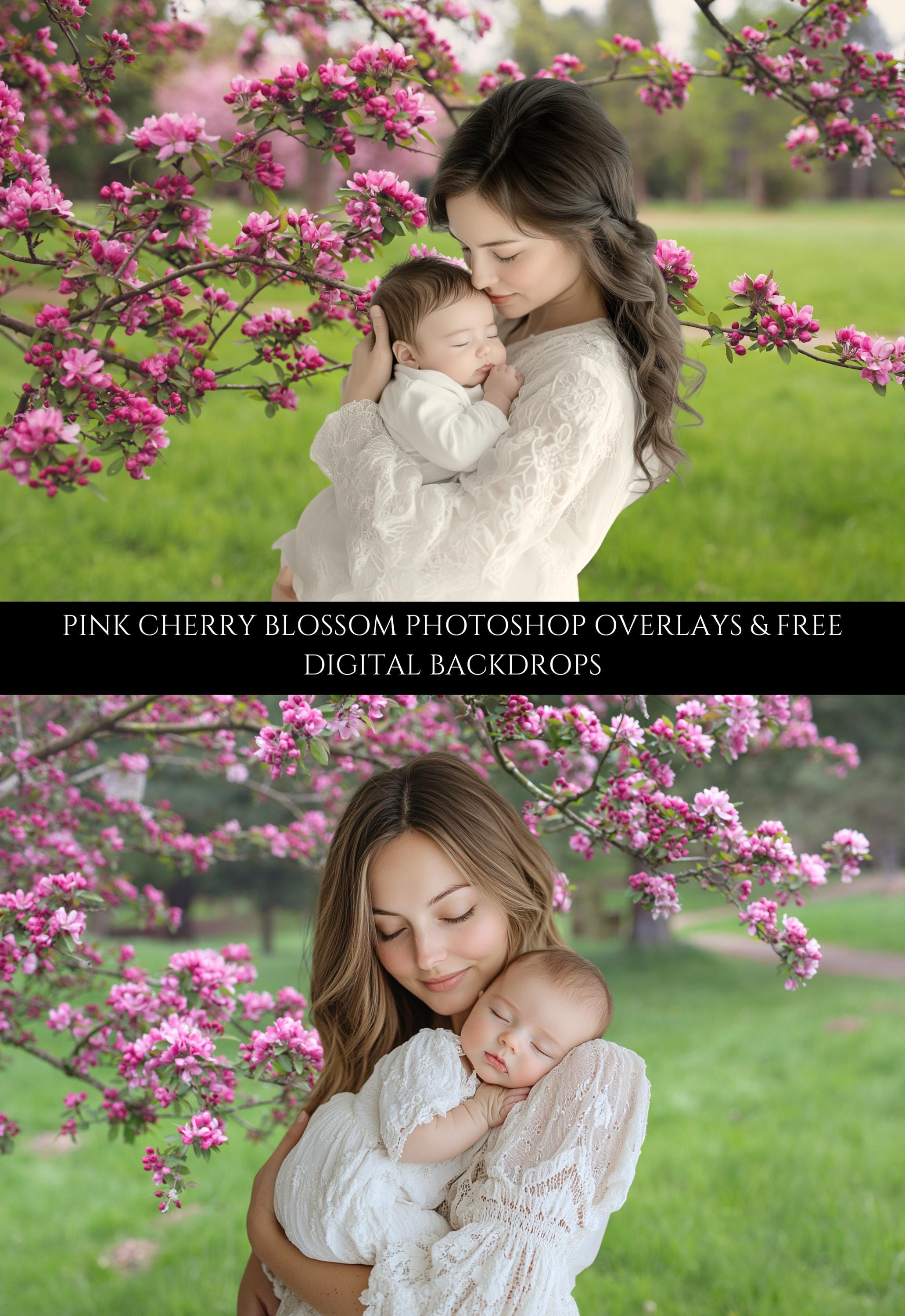 Pink Blossom Photo Overlays