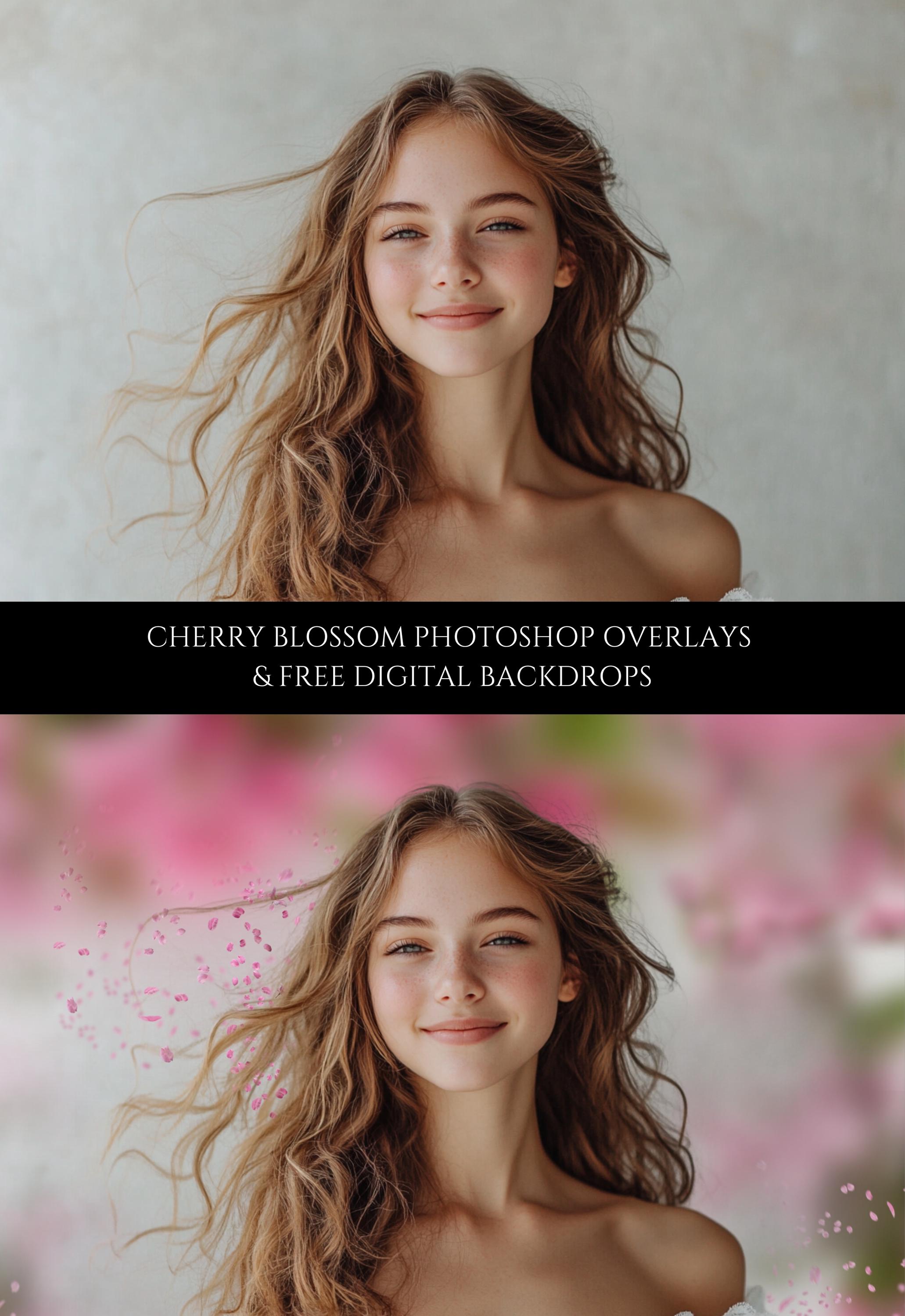 Pink Blossom Photo Overlays
