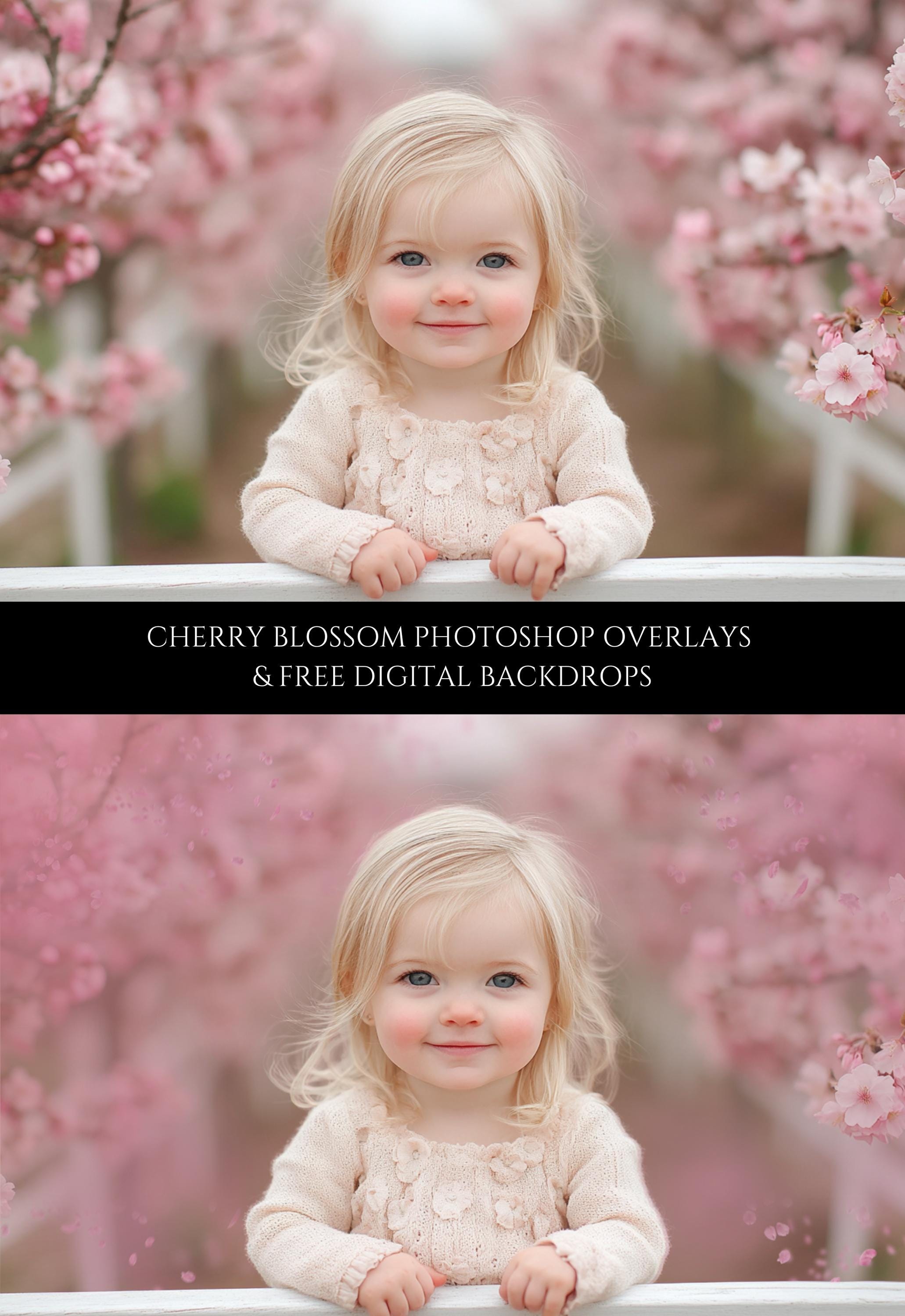 Pink Blossom Photo Overlays