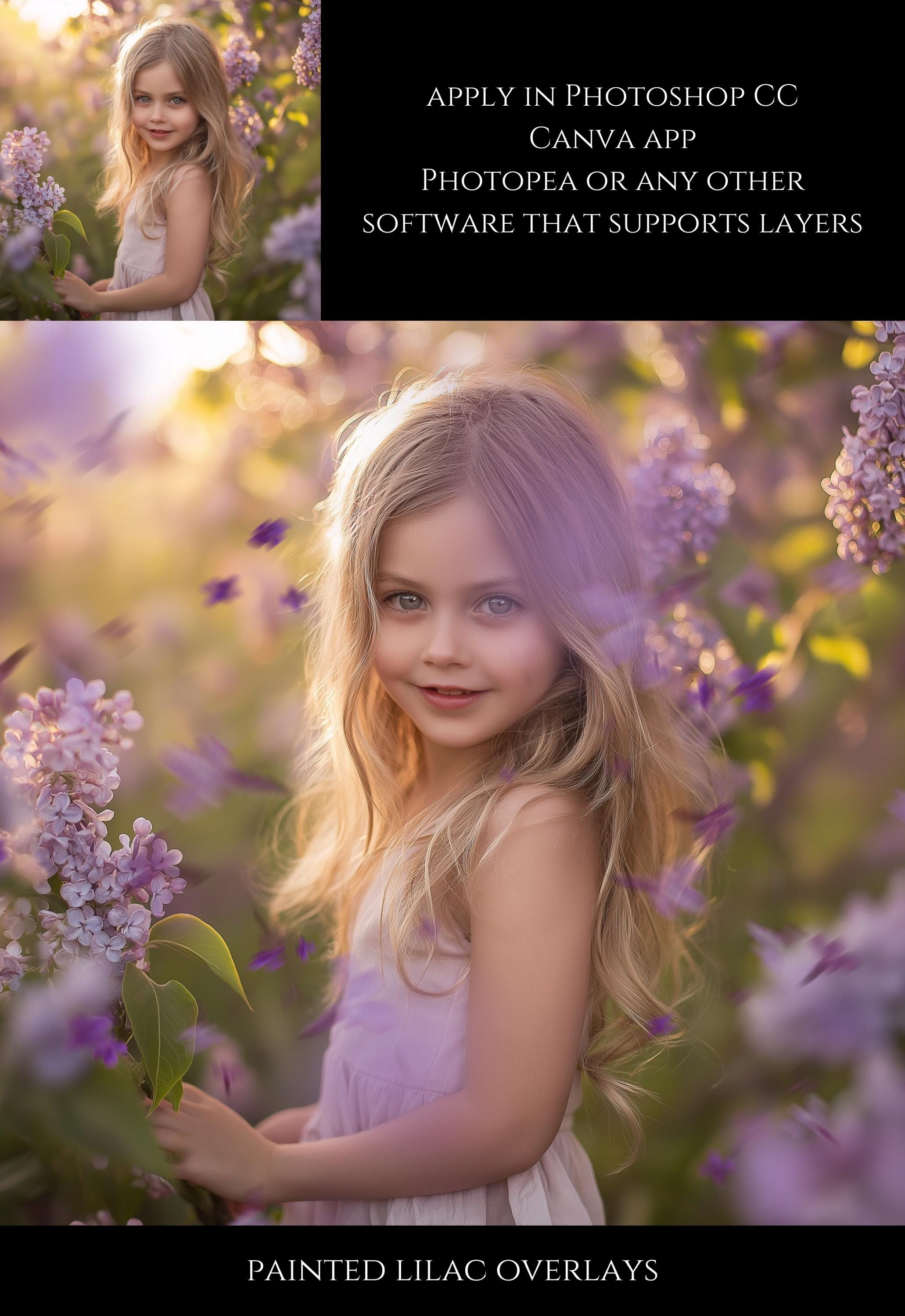Purple Lilac Photo Overlays: Floral Photography Effects