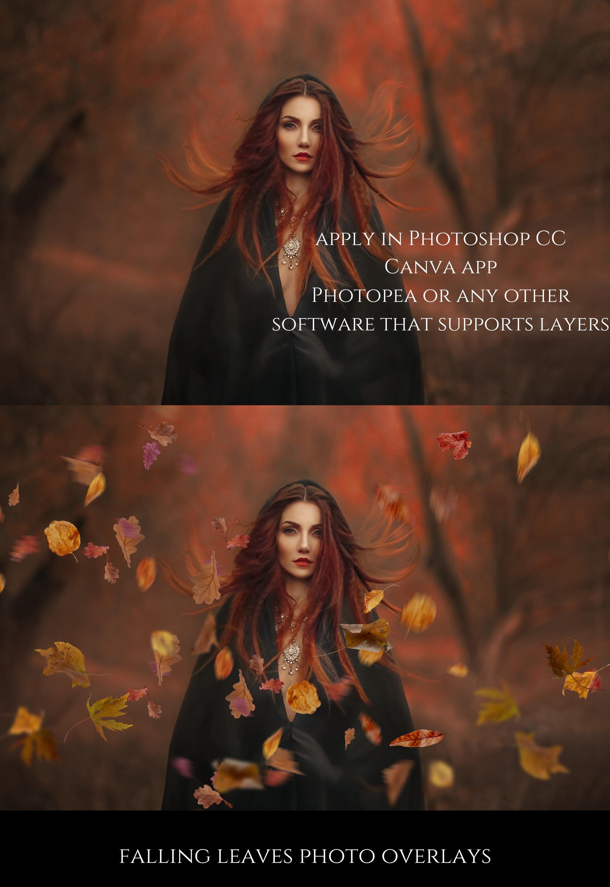 Falling Leaves Photo Overlays