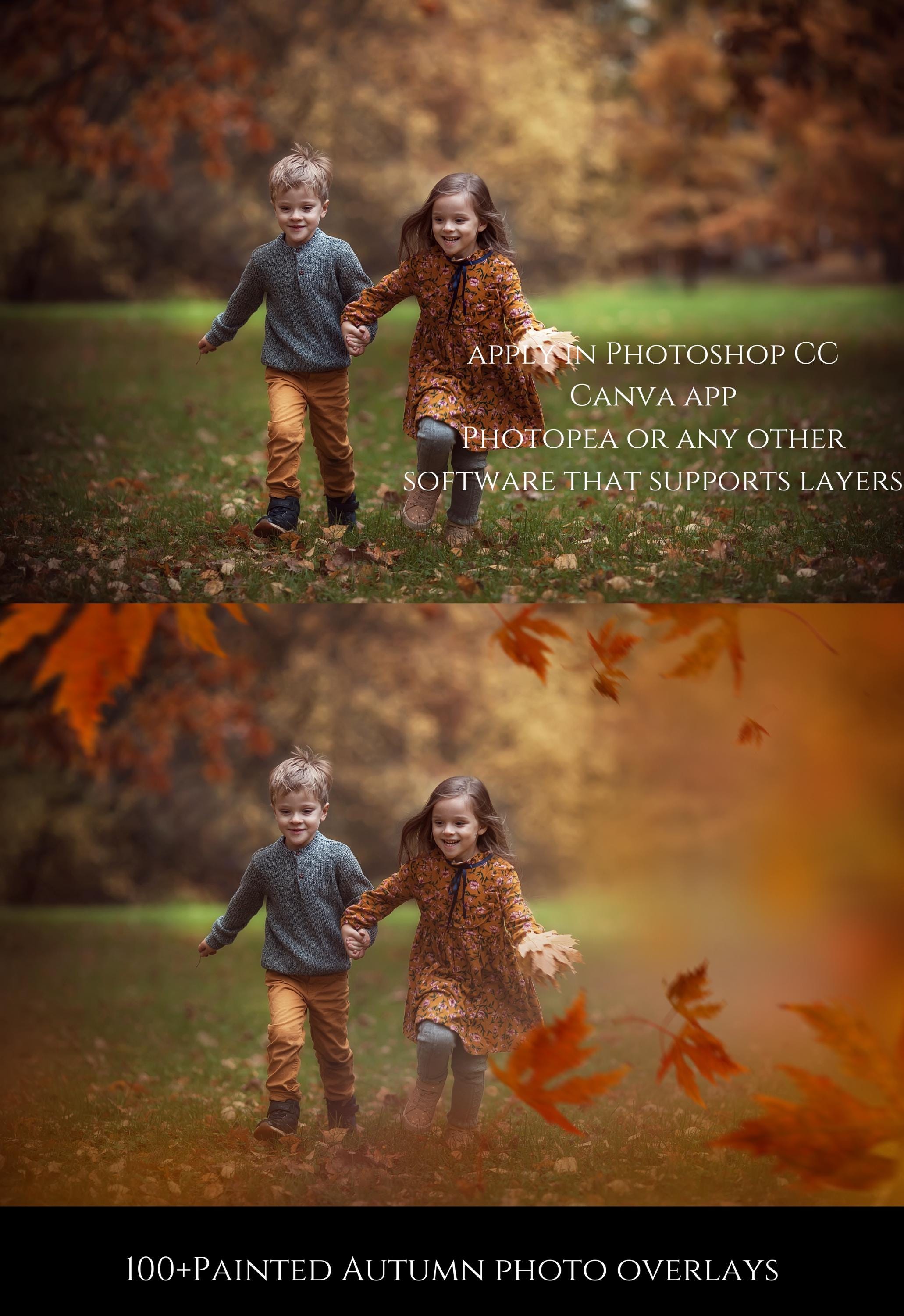 Painted Autumn Leaf Photo Overlays