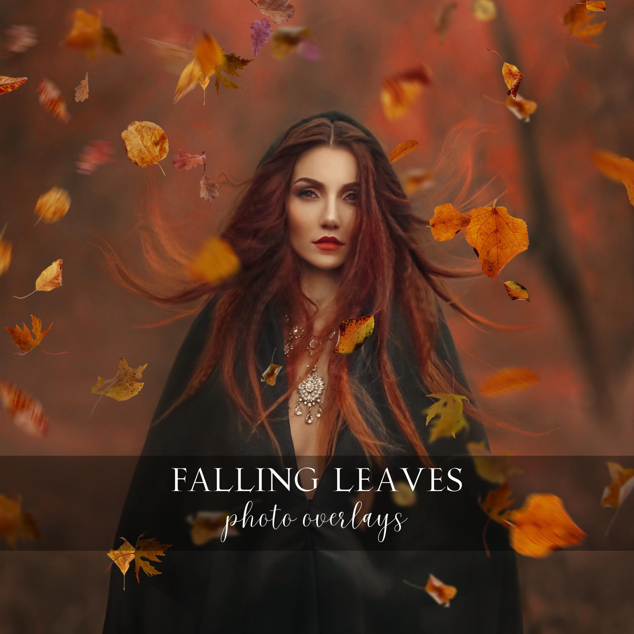 Falling Leaves Photo Overlays