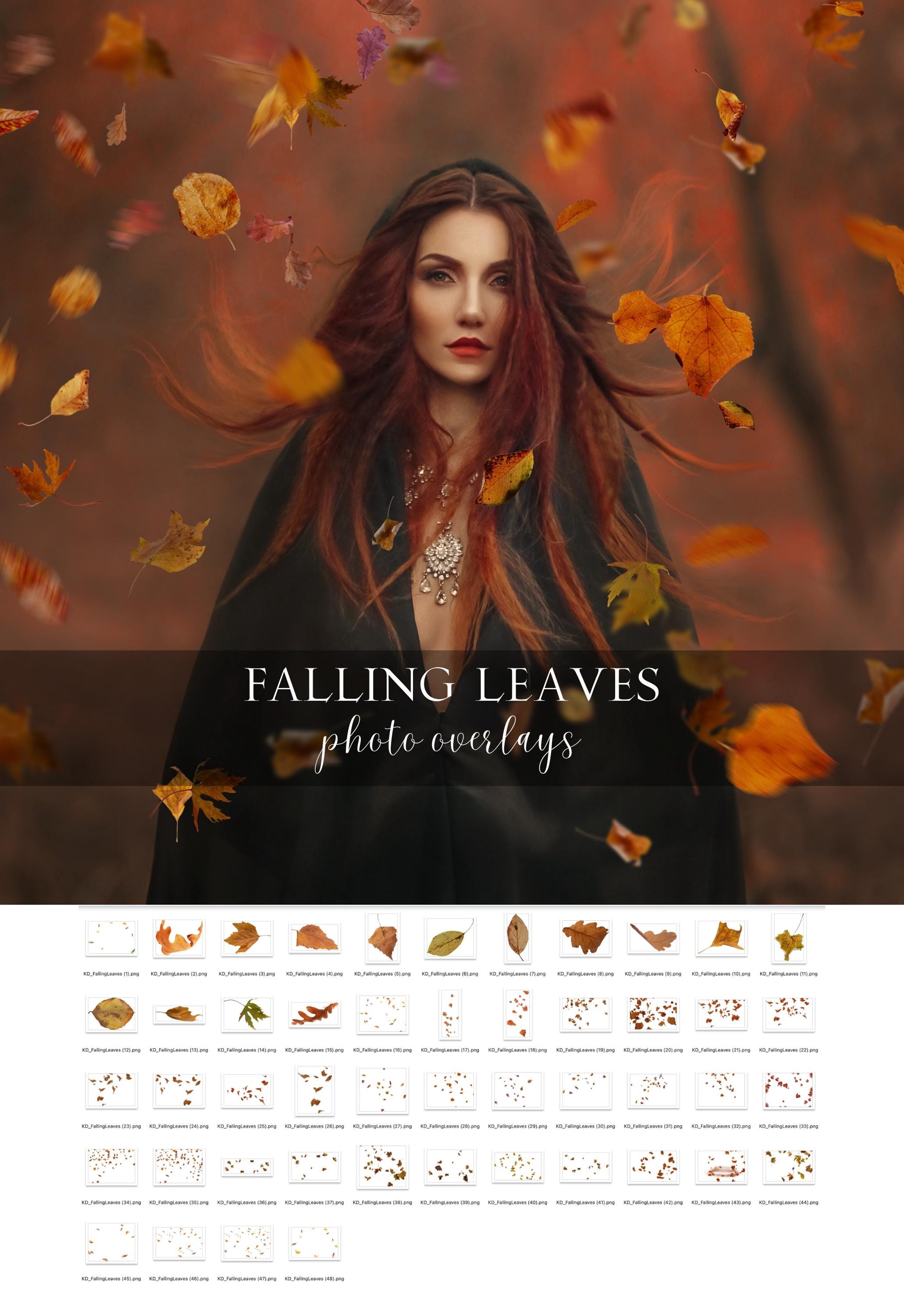 Falling Leaves Photo Overlays