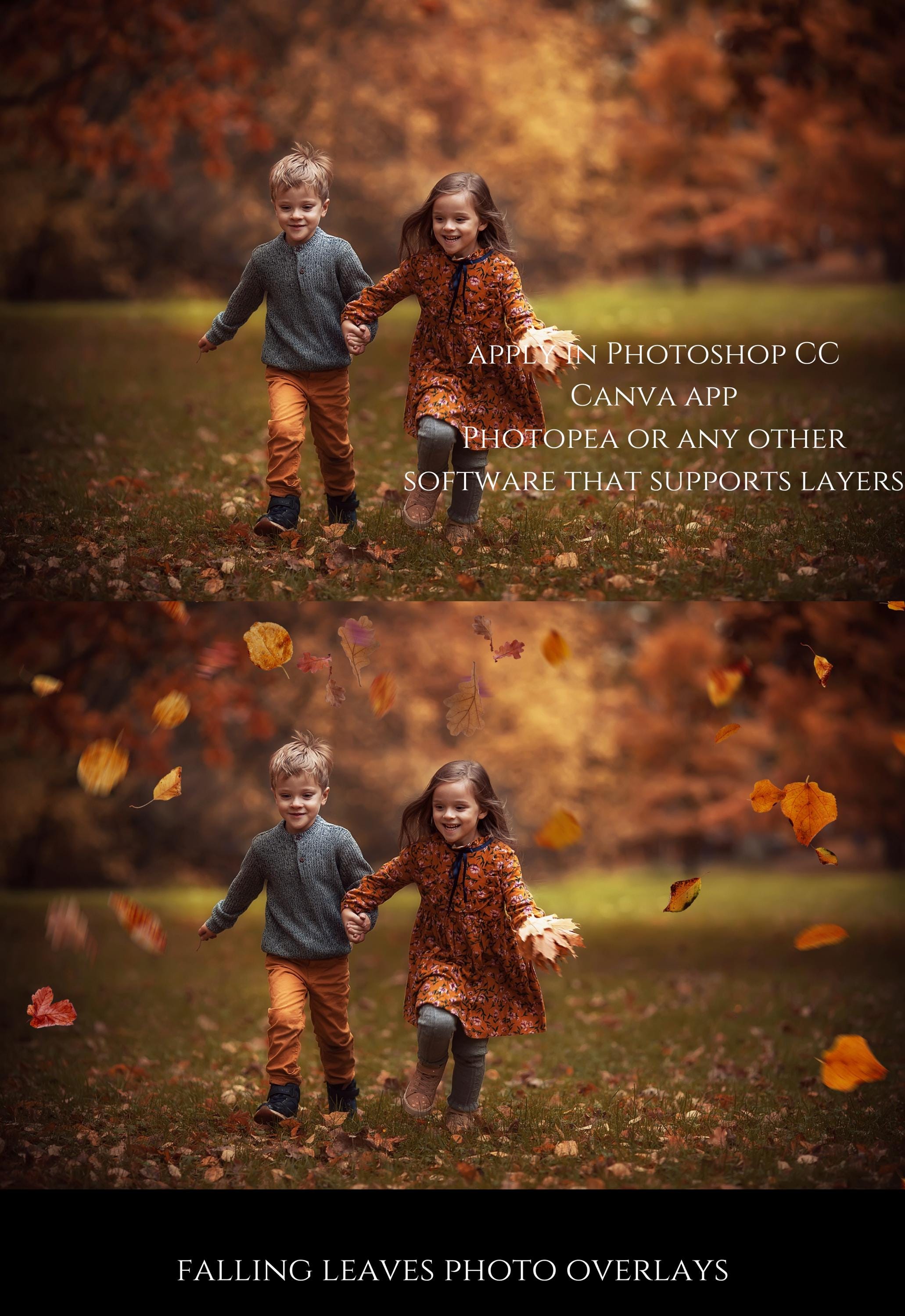Falling Leaves Photo Overlays