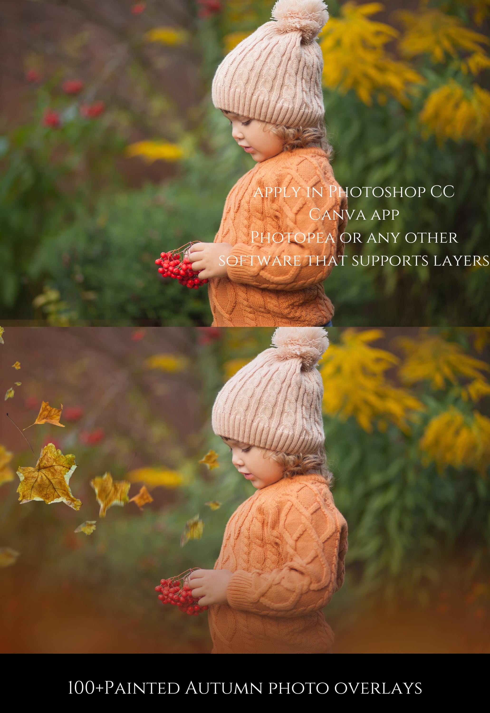 Painted Autumn Leaf Photo Overlays