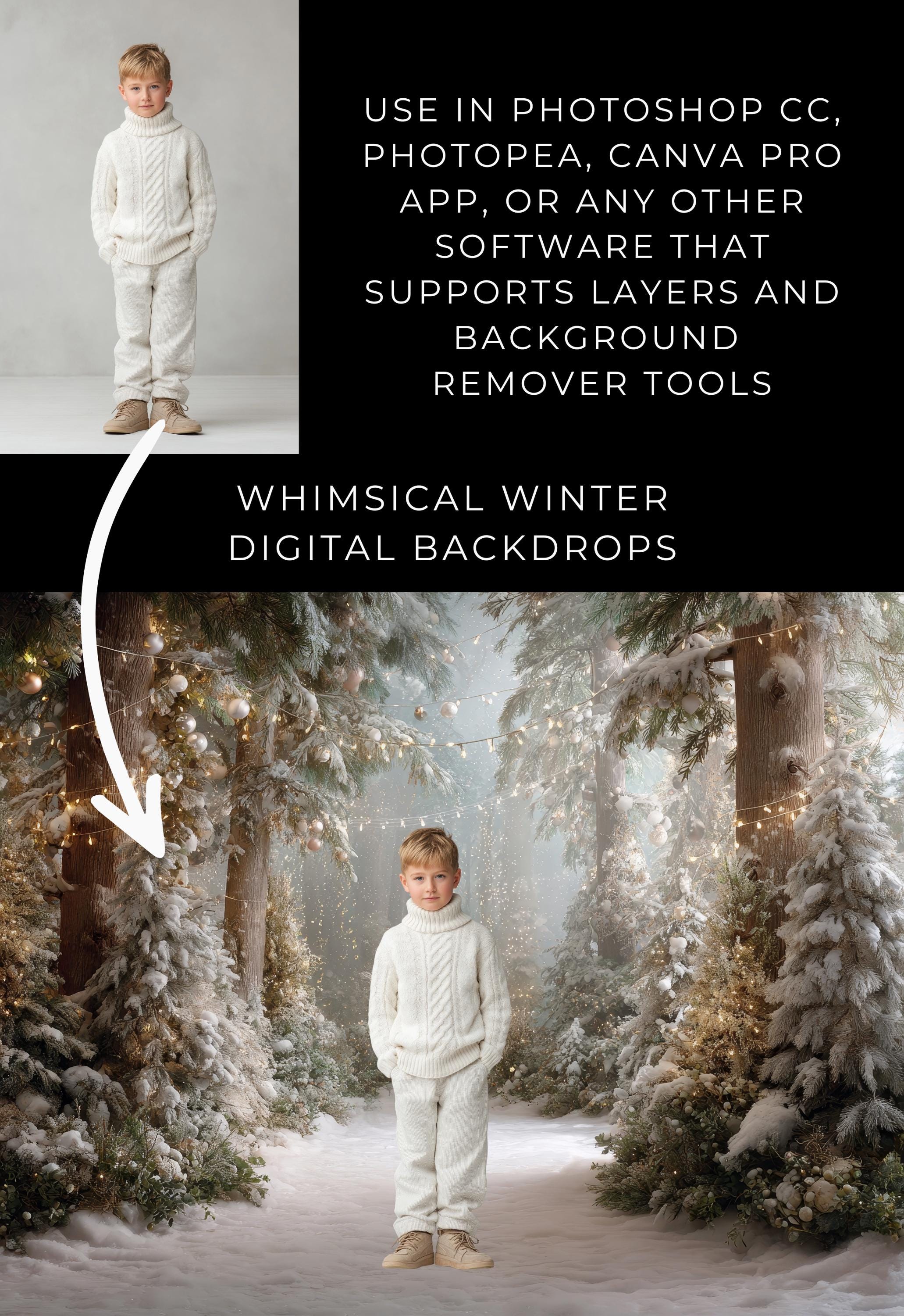 Whimscial Winter Forest Digital Backdrops