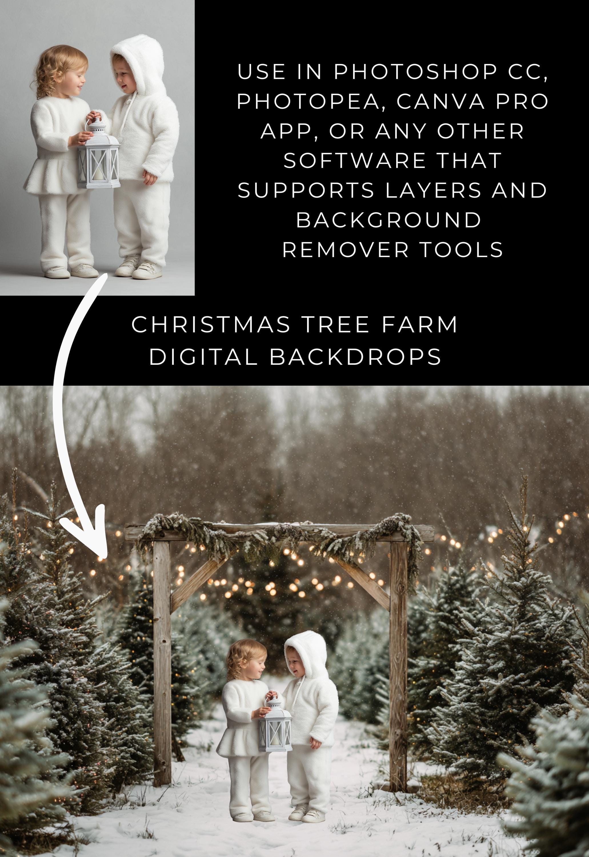 Christmas Tree Farm Digital Backdrops