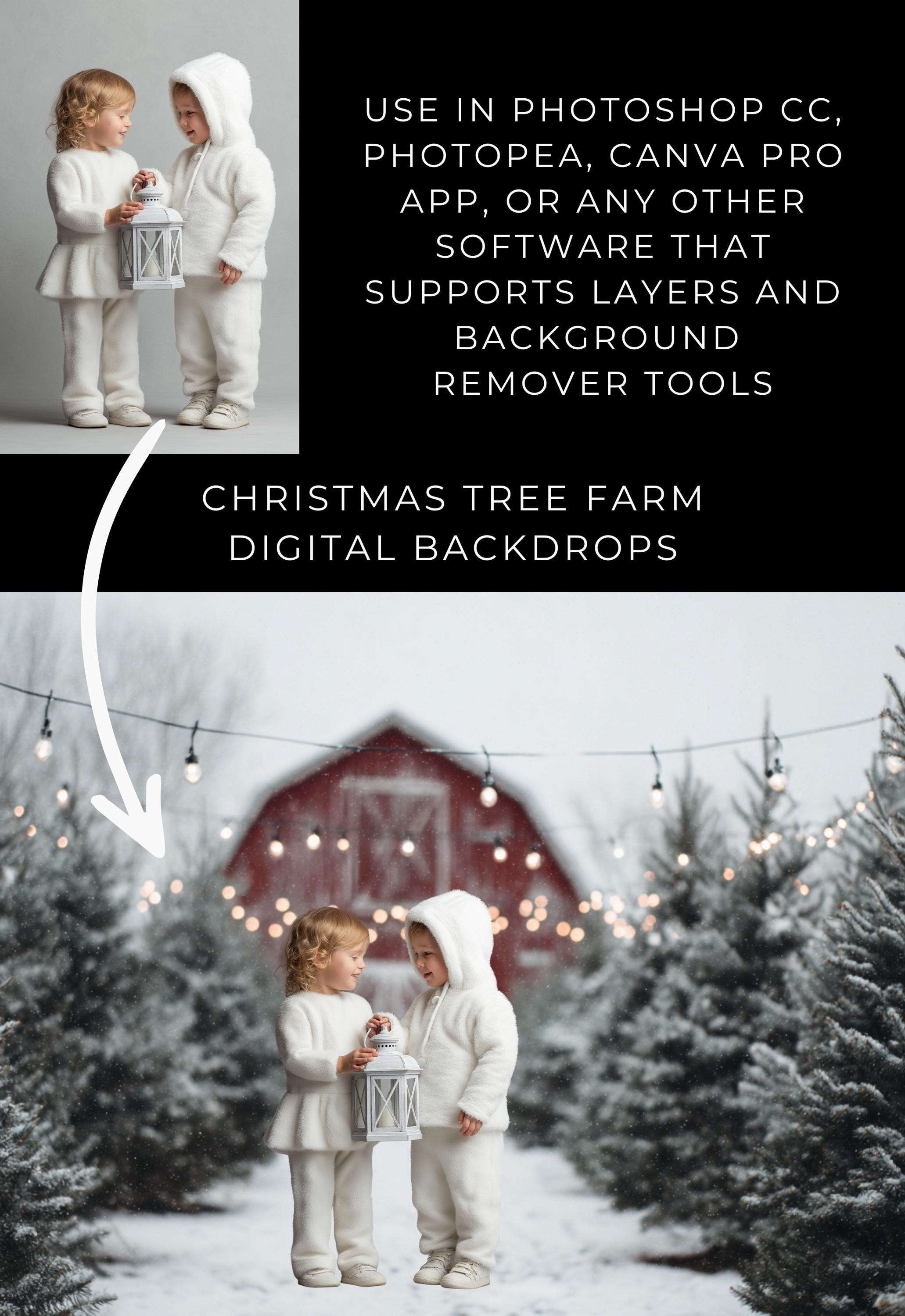 Christmas Tree Farm Digital Backdrops