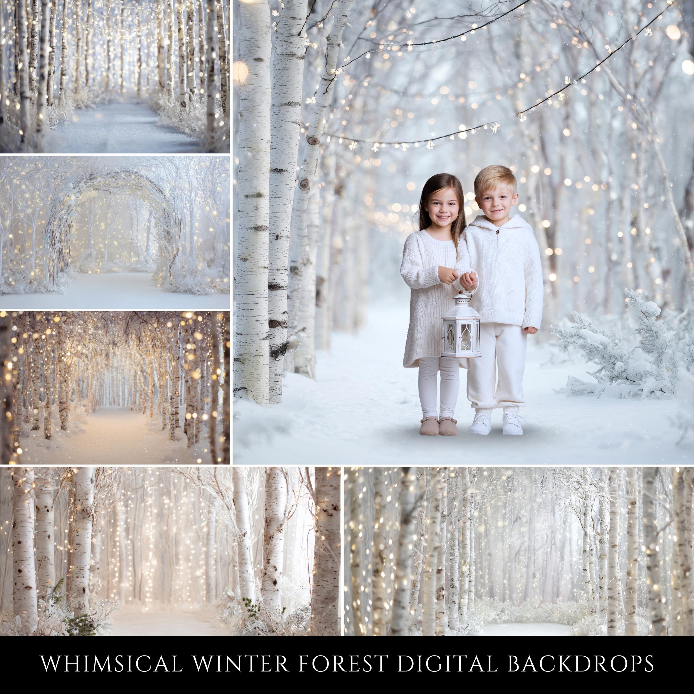 Whimsical Winter Forest Digital Backdrops