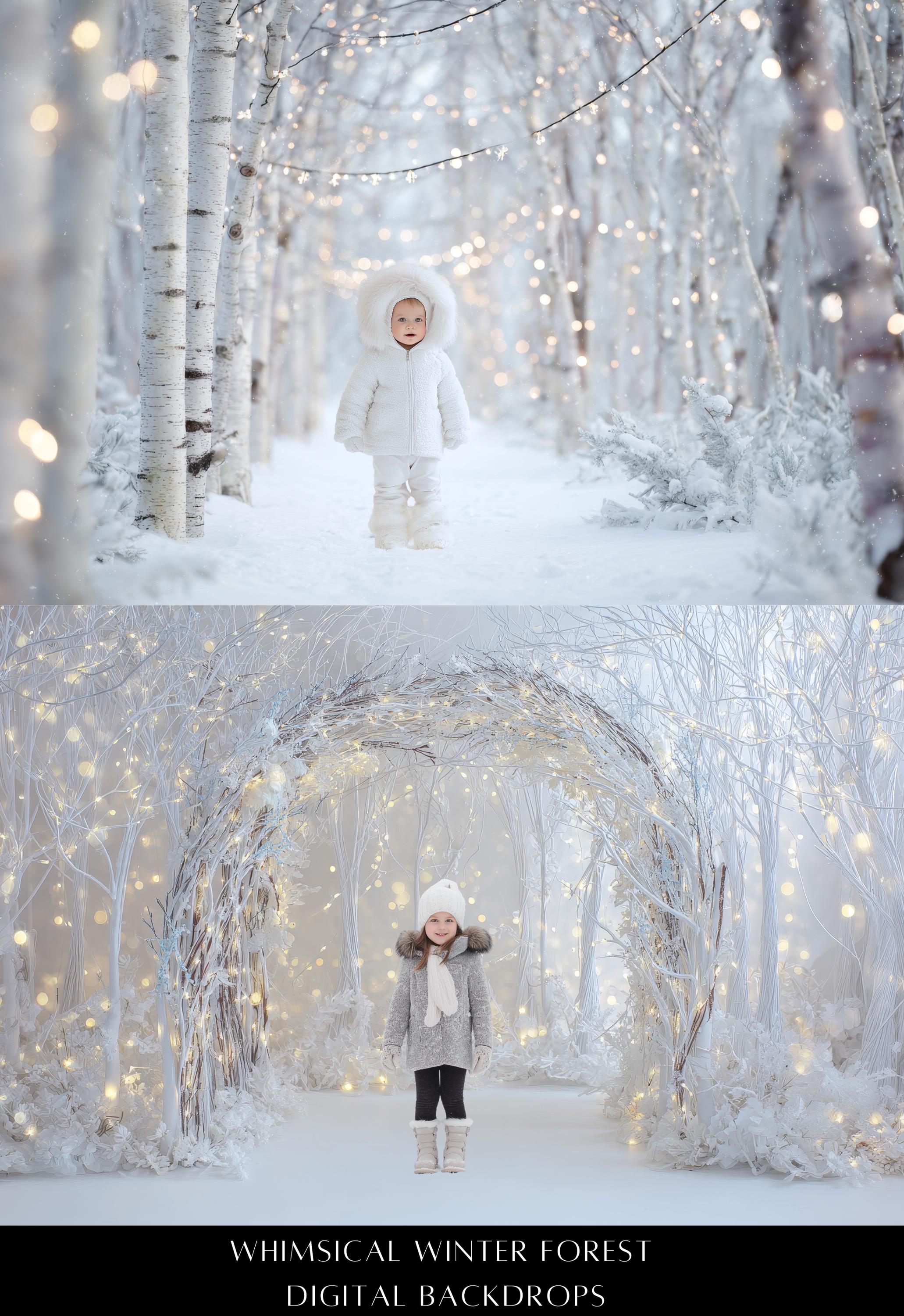 Whimsical Winter Forest Digital Backdrops