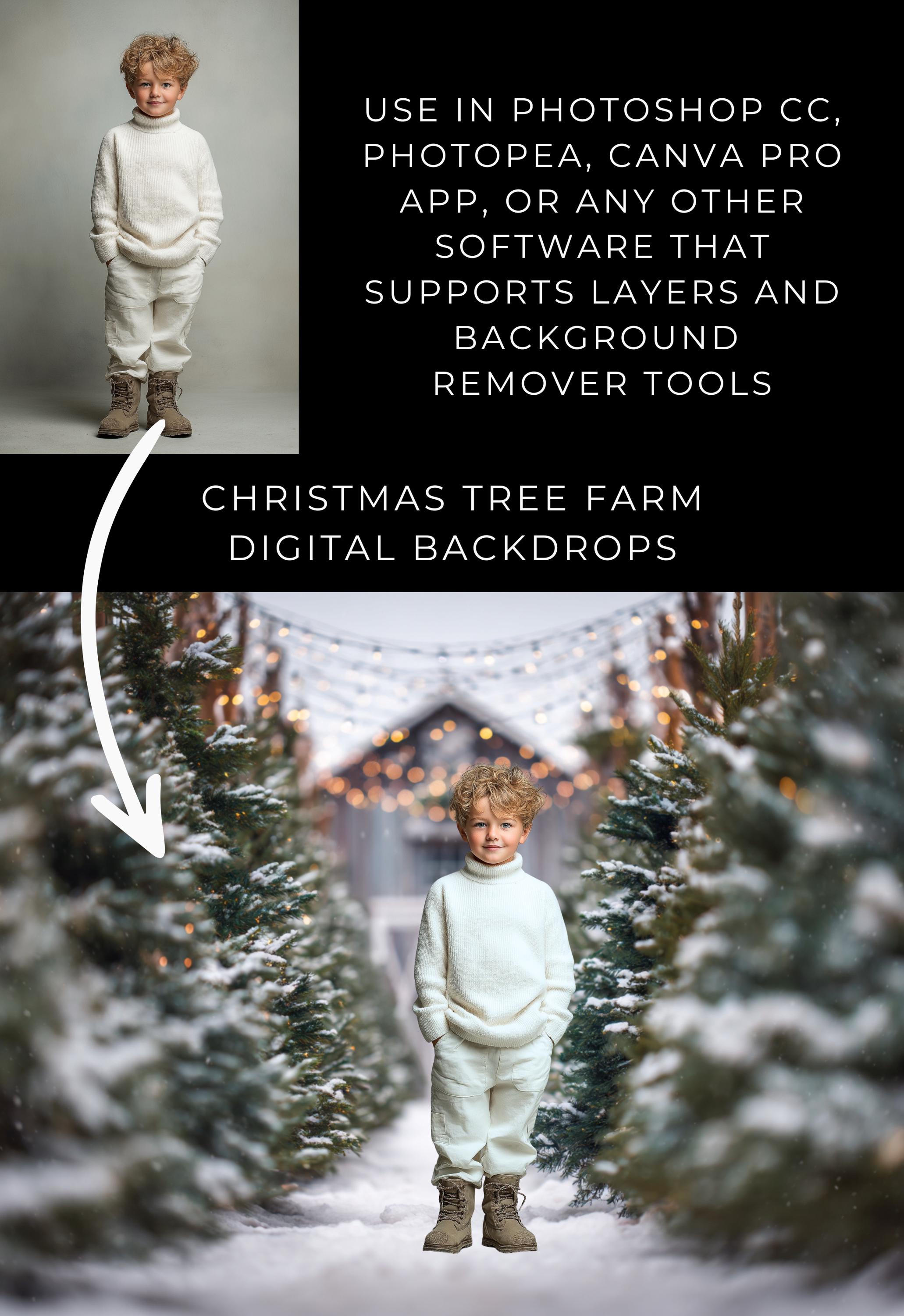 Christmas Tree Farm Digital Backdrops