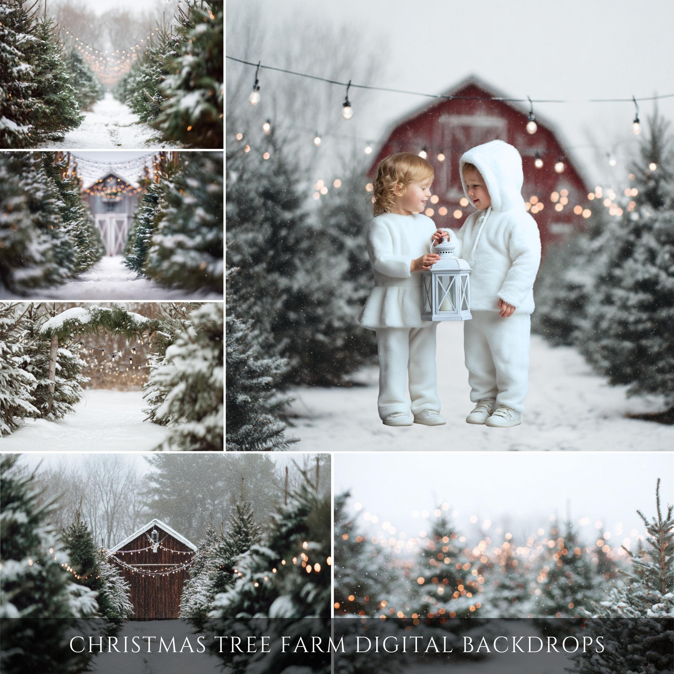 Christmas Tree Farm Digital Backdrops