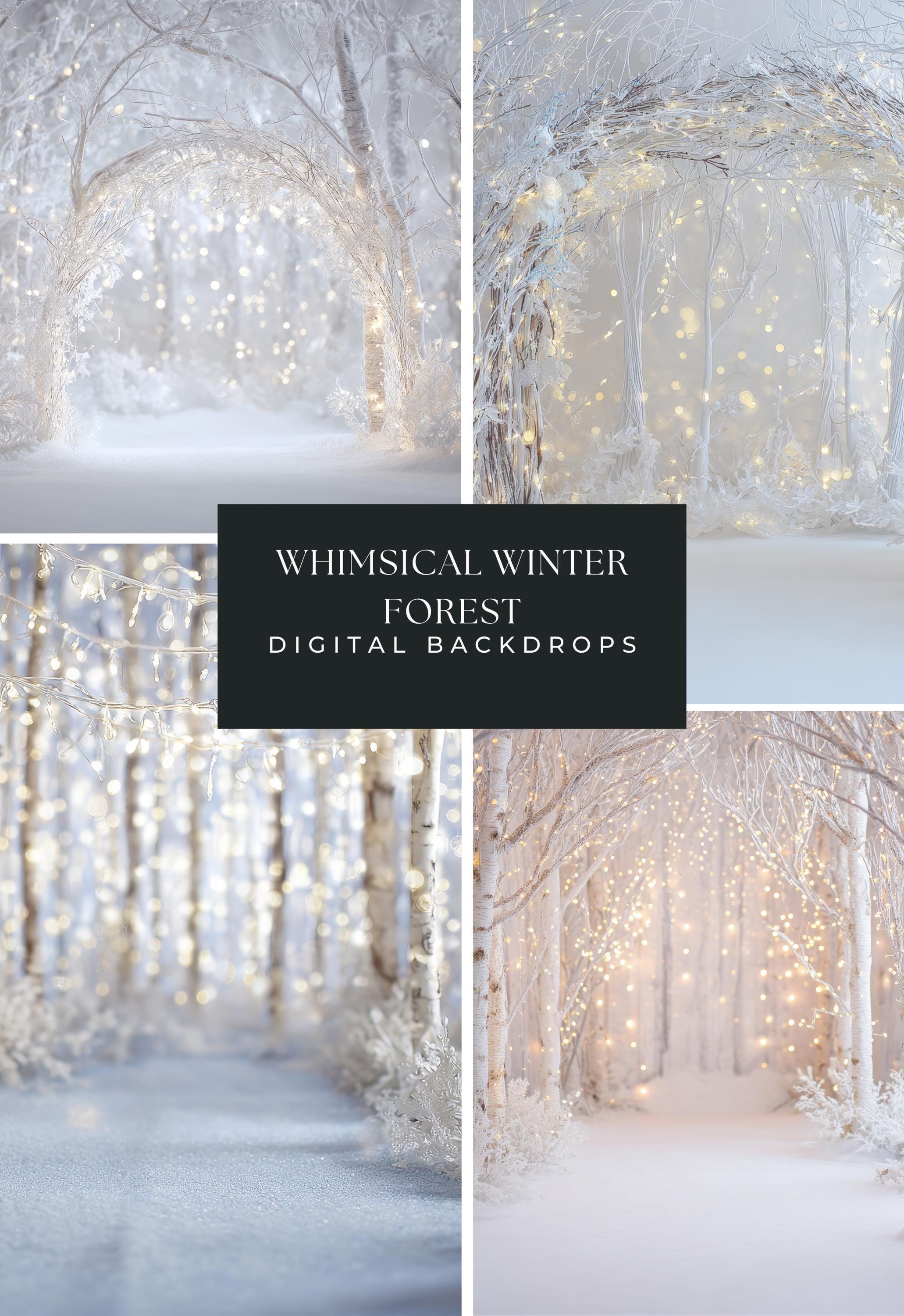 Whimsical Winter Forest Digital Backdrops