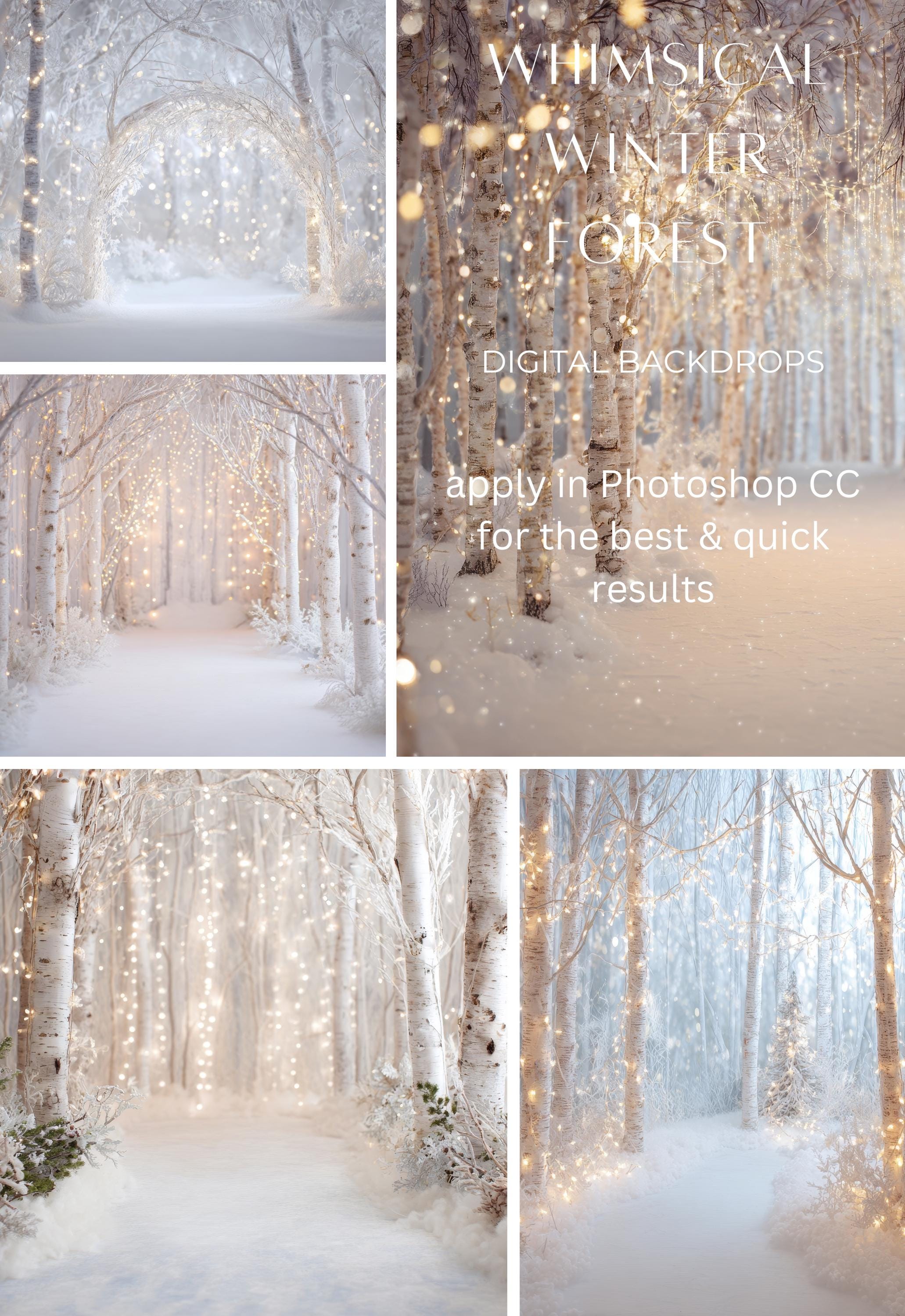 Whimsical Winter Forest Digital Backdrops