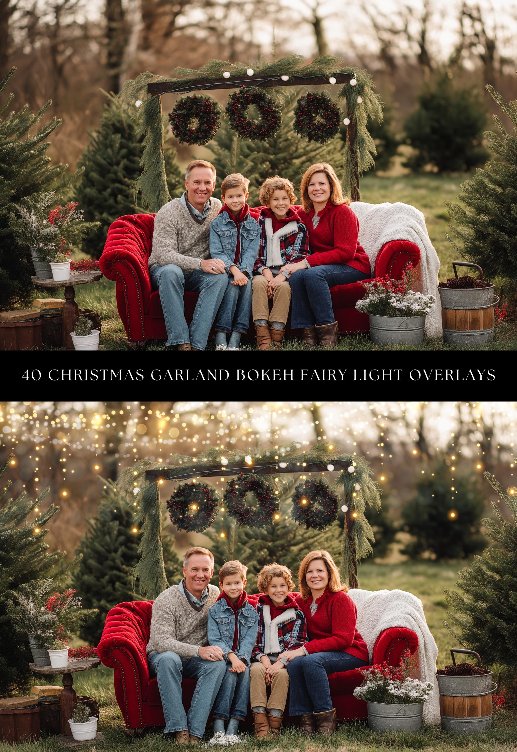 Christmas Garland Photo Overlays