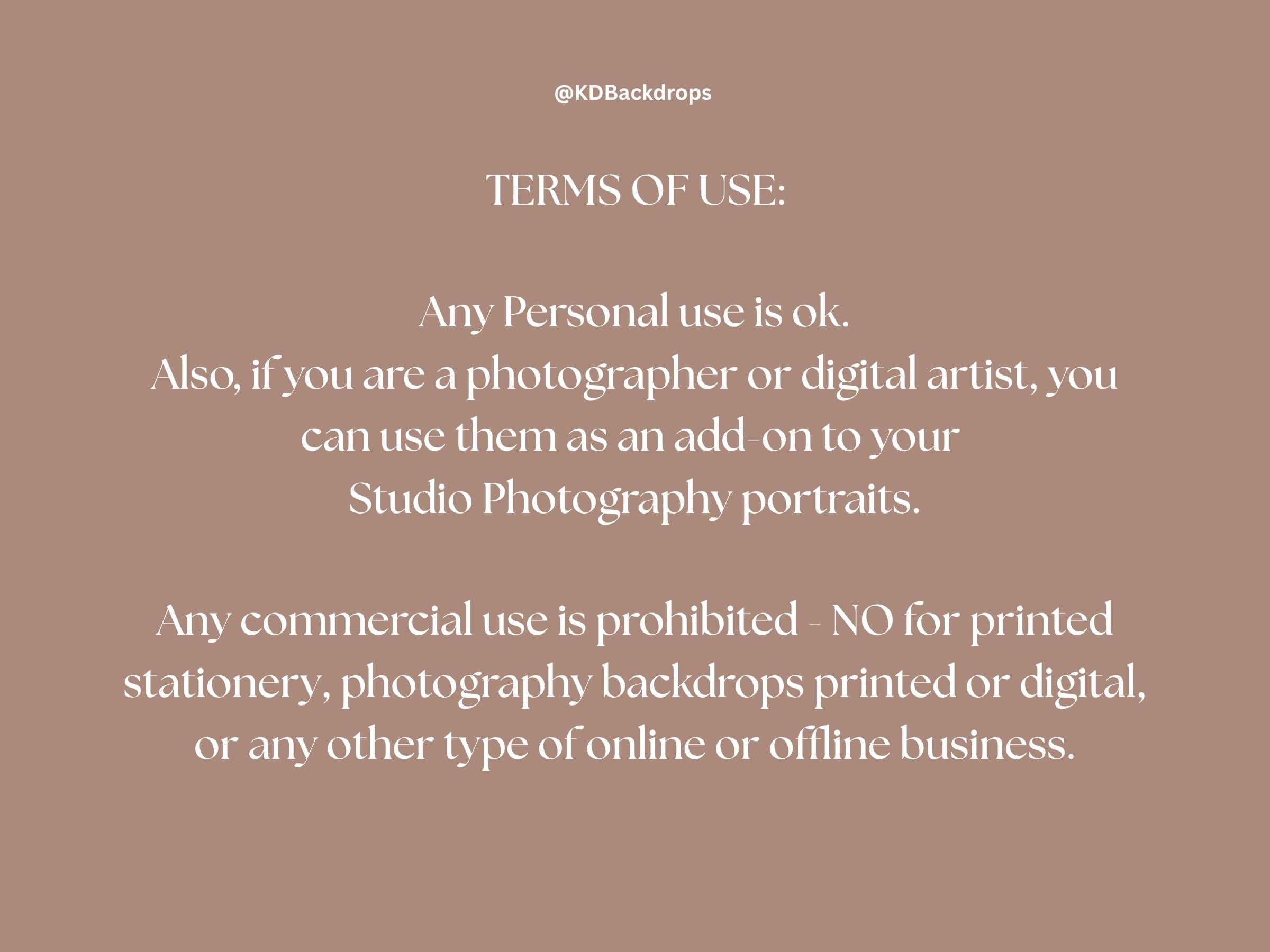 Golden Snow Globe Christmas Winter Digital Backdrop