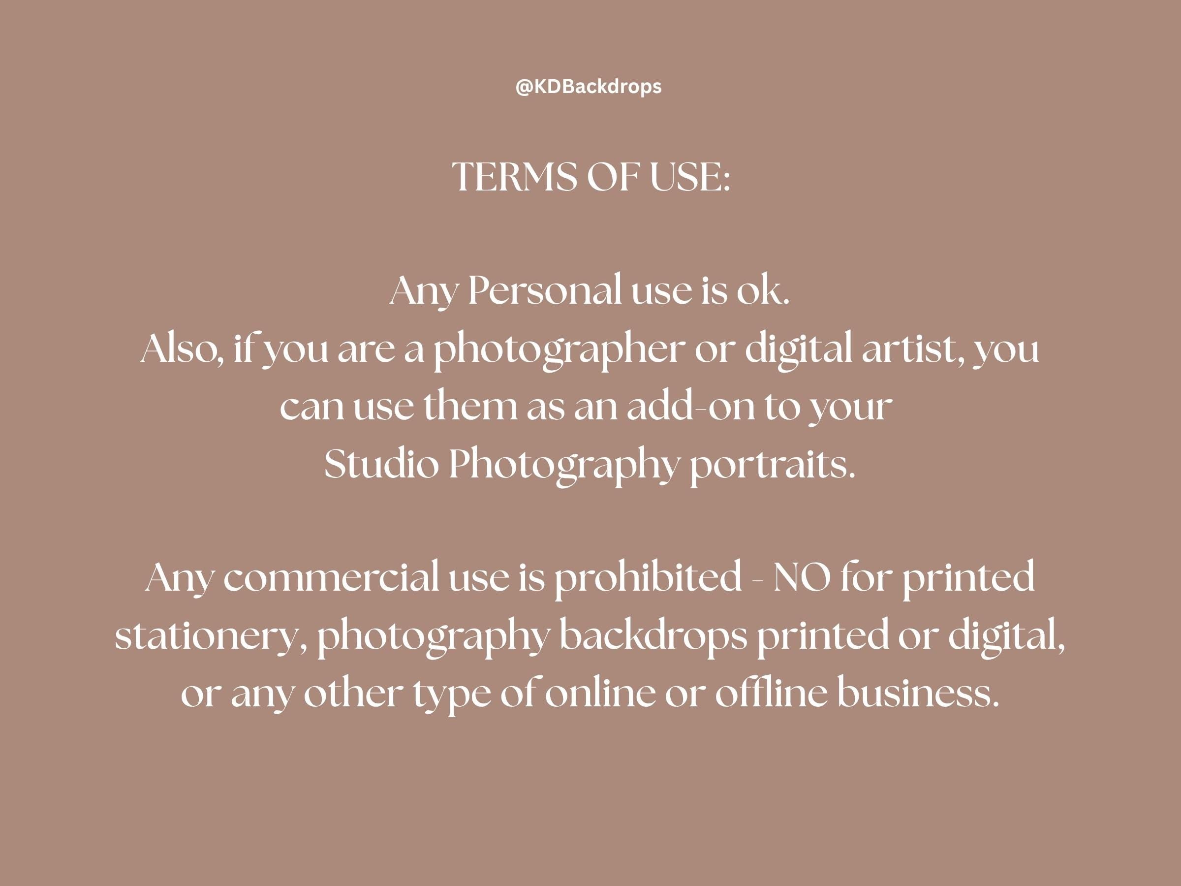 Silver Snow Globe Christmas Winter Digital Backdrop