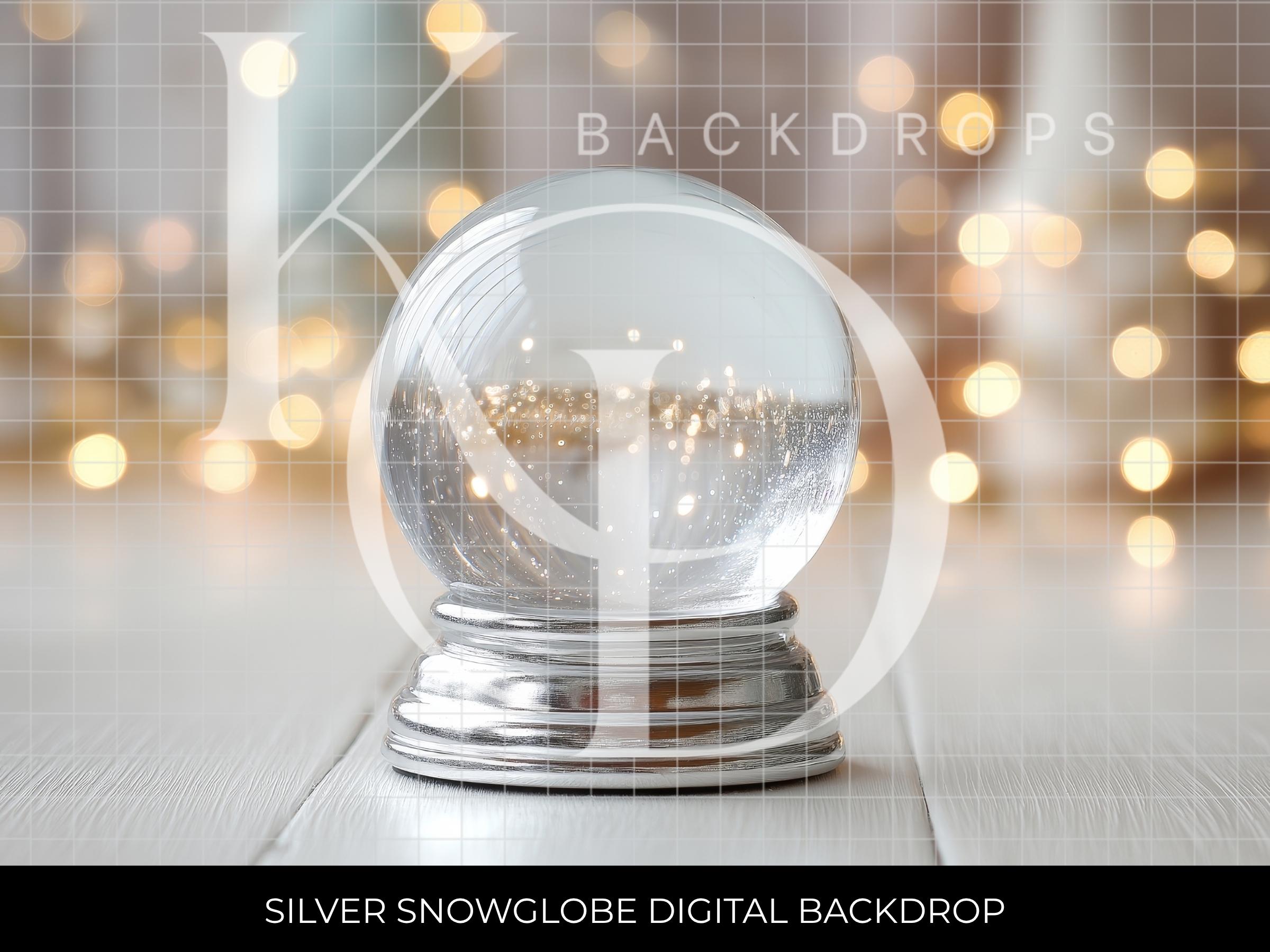 Silver Snow Globe Christmas Winter Digital Backdrop
