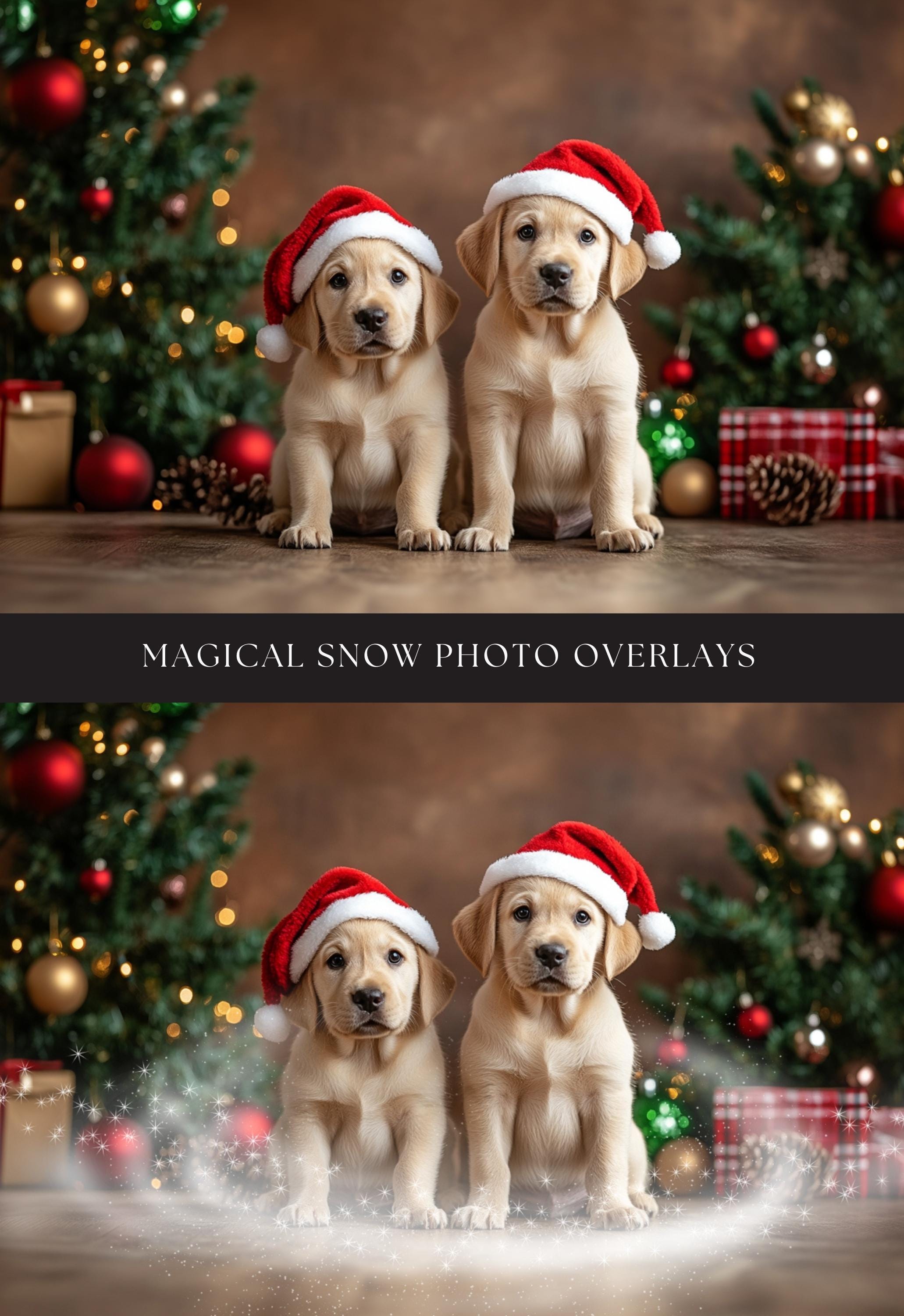 Magical Snow Christmas Photo Overlays