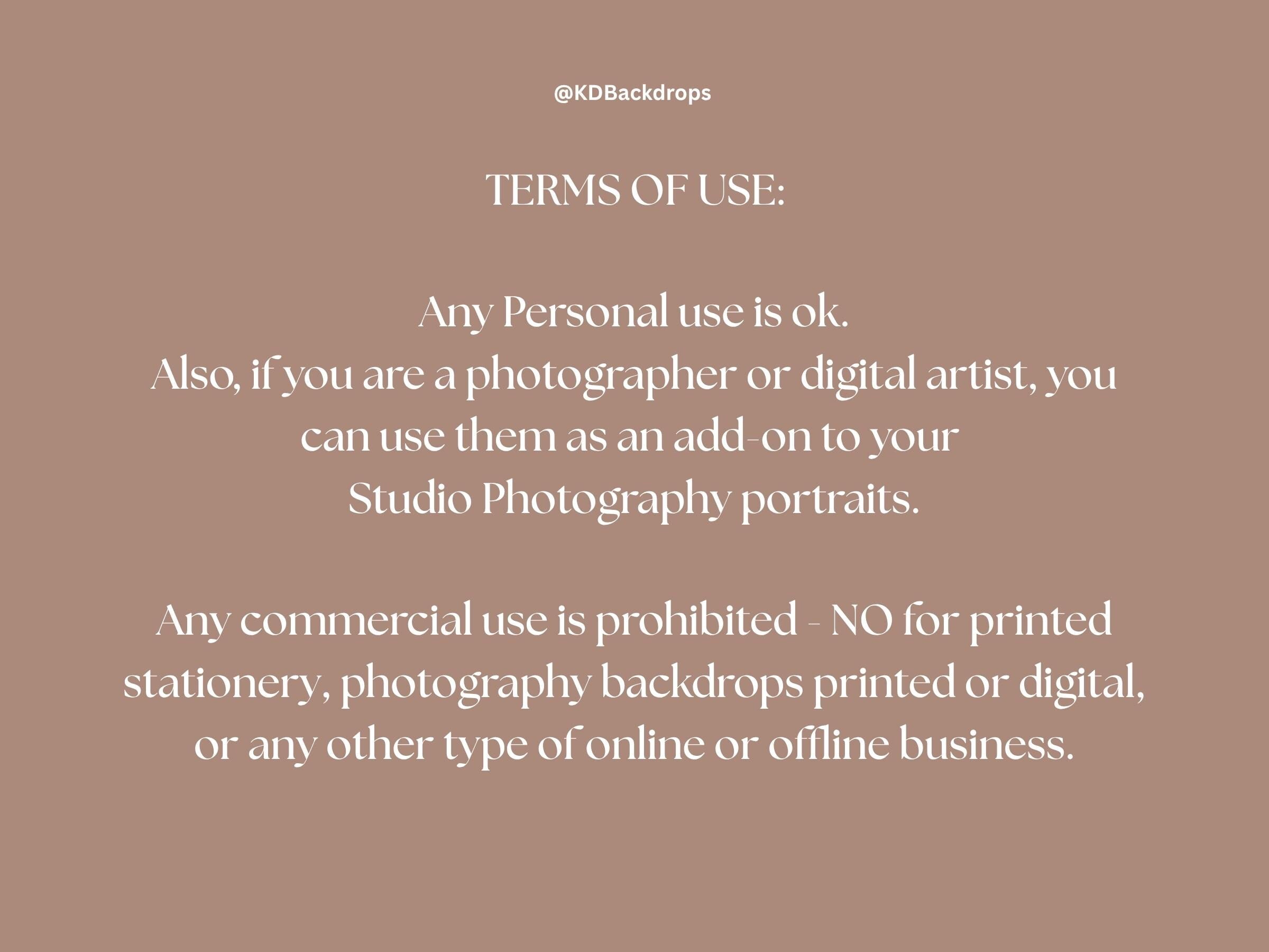 Santa Holding Snow Globe Christmas Winter Digital Backdrop