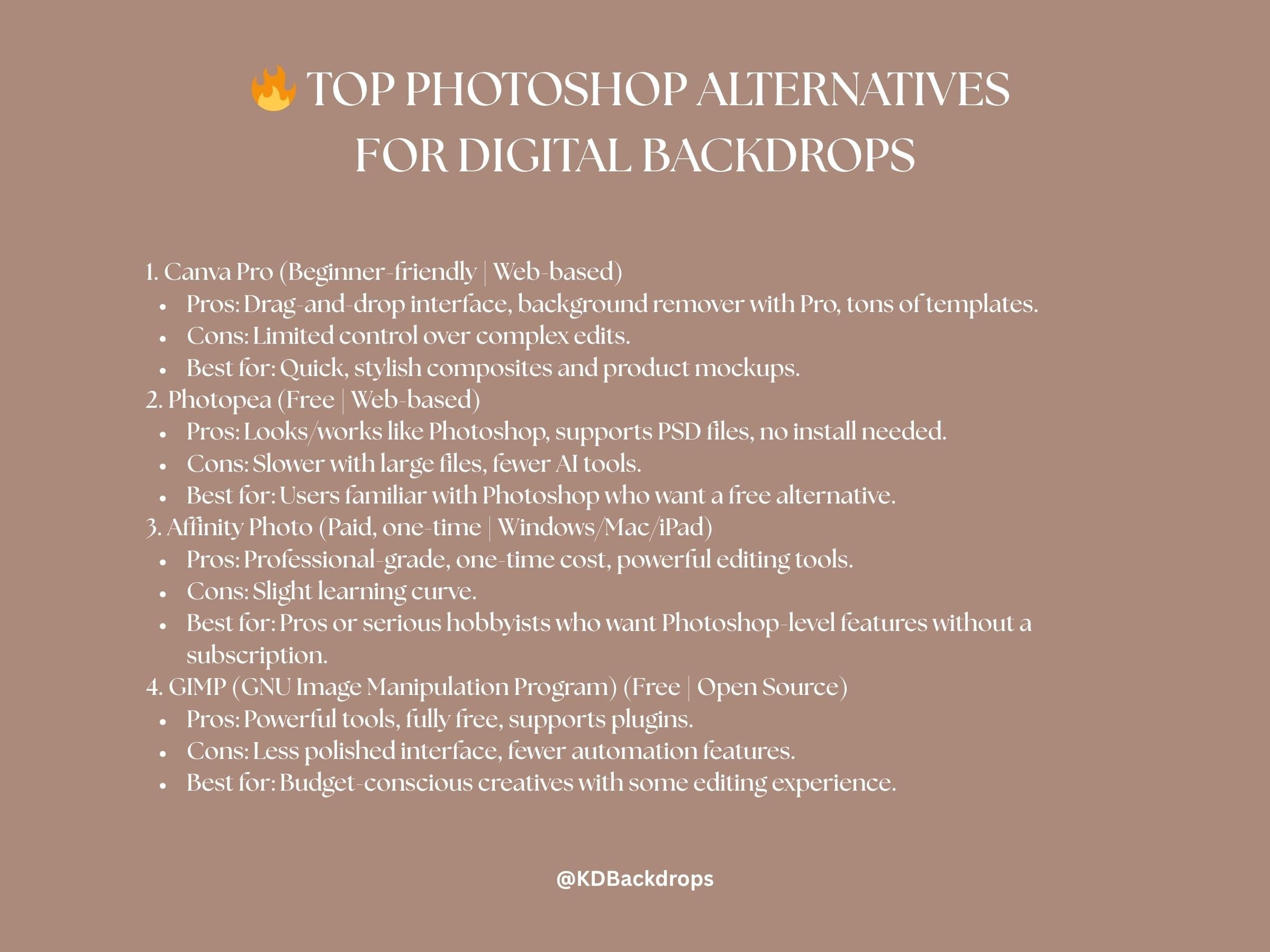 Silver Snow Globe Christmas Winter Digital Backdrop