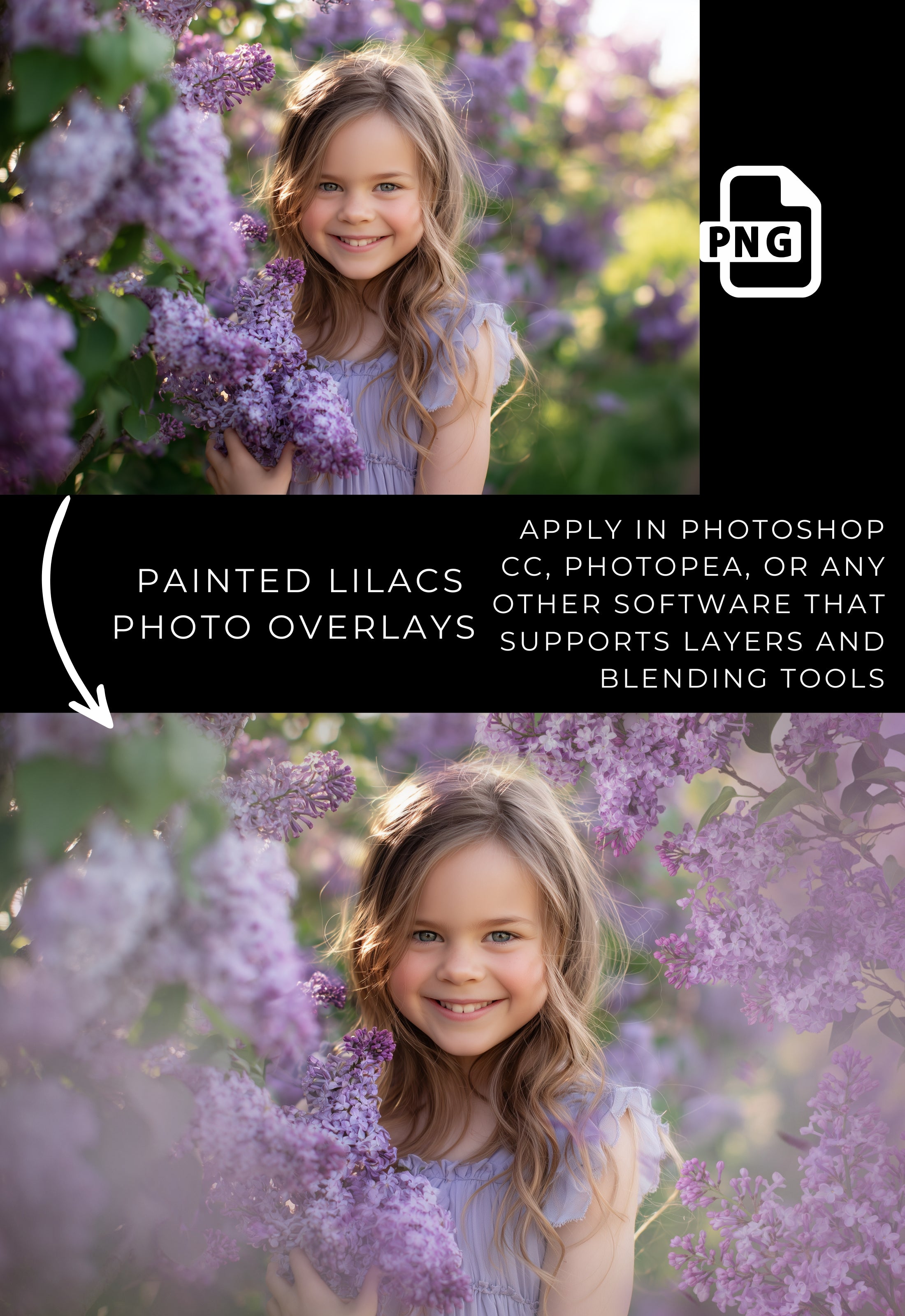 Purple Lilac Photo Overlays: Floral Photography Effects